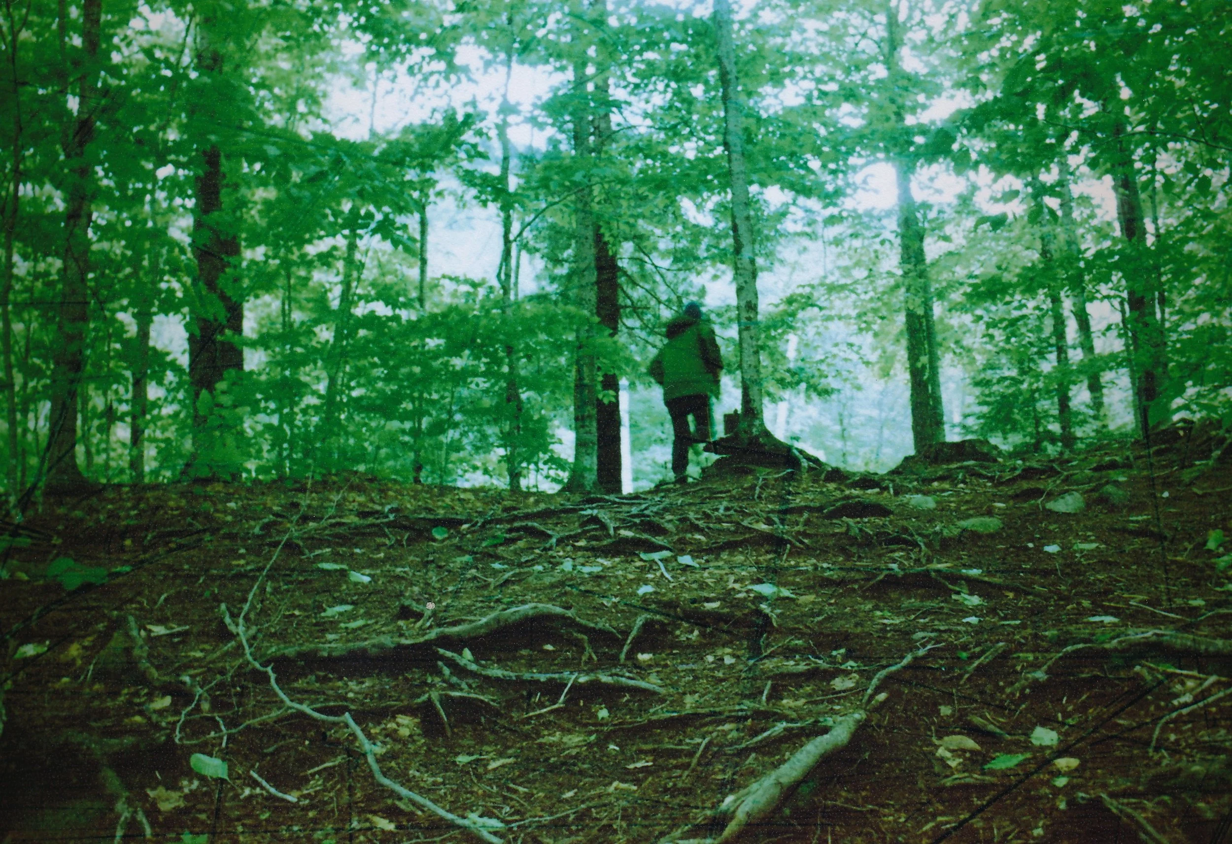 Jaina_Cipriano_The Lucky Ones12.jpg