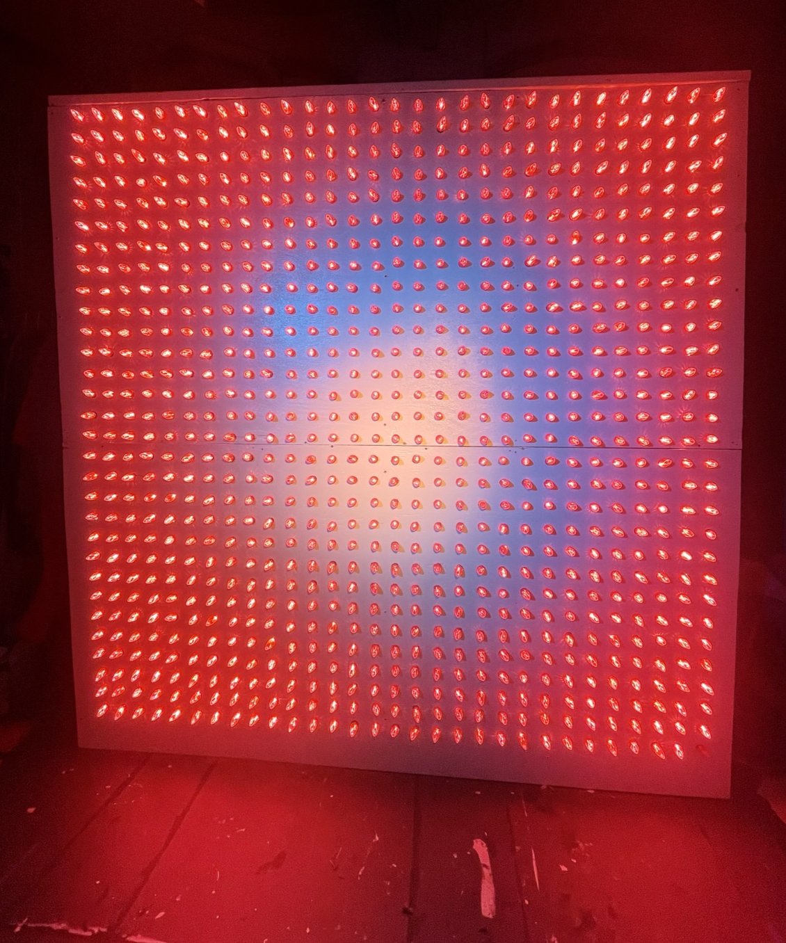 Screenshot 2026-02-19 at 10.15.31 AM.png