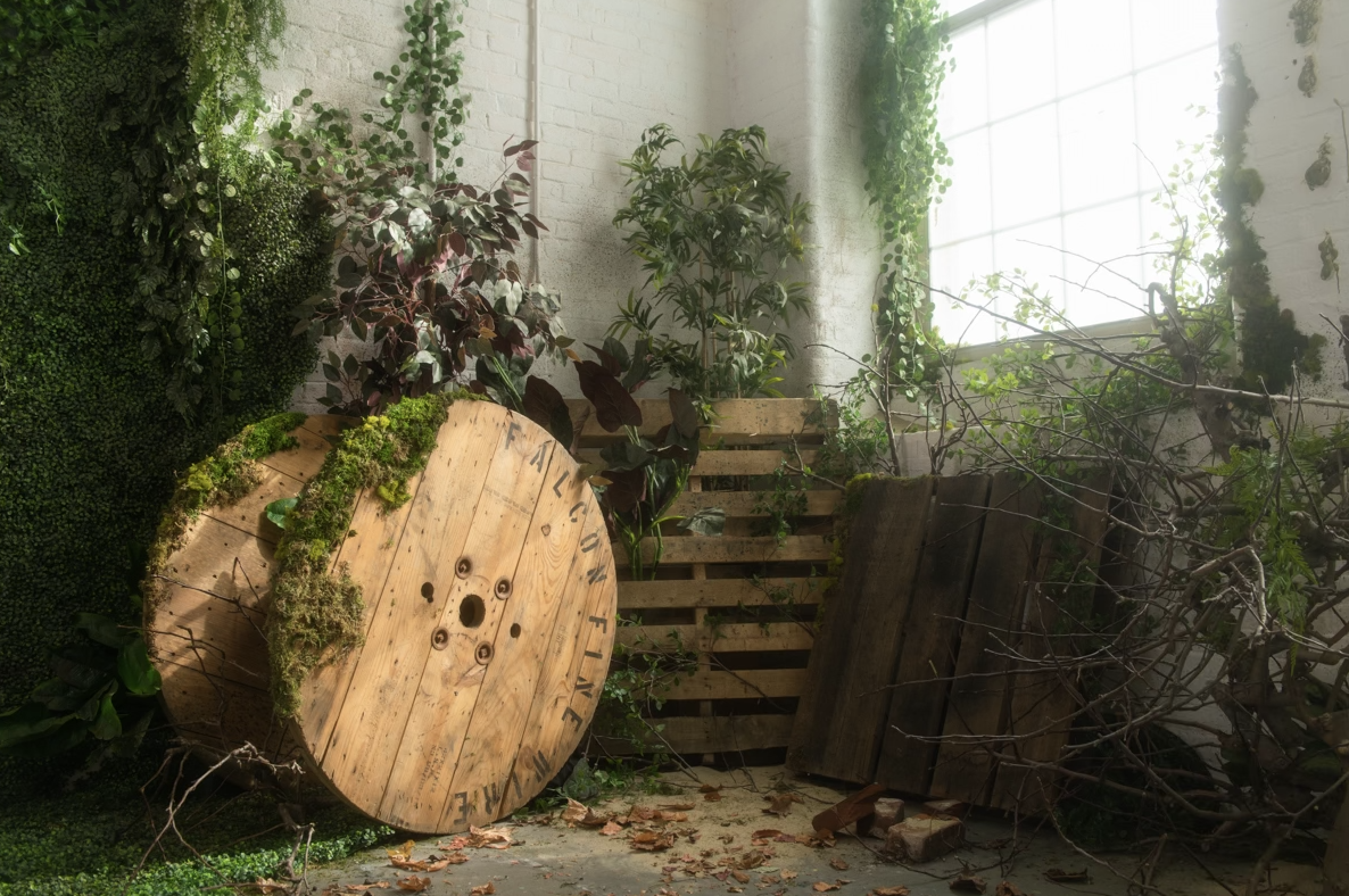 Screenshot 2026-02-19 at 10.46.54 AM.png