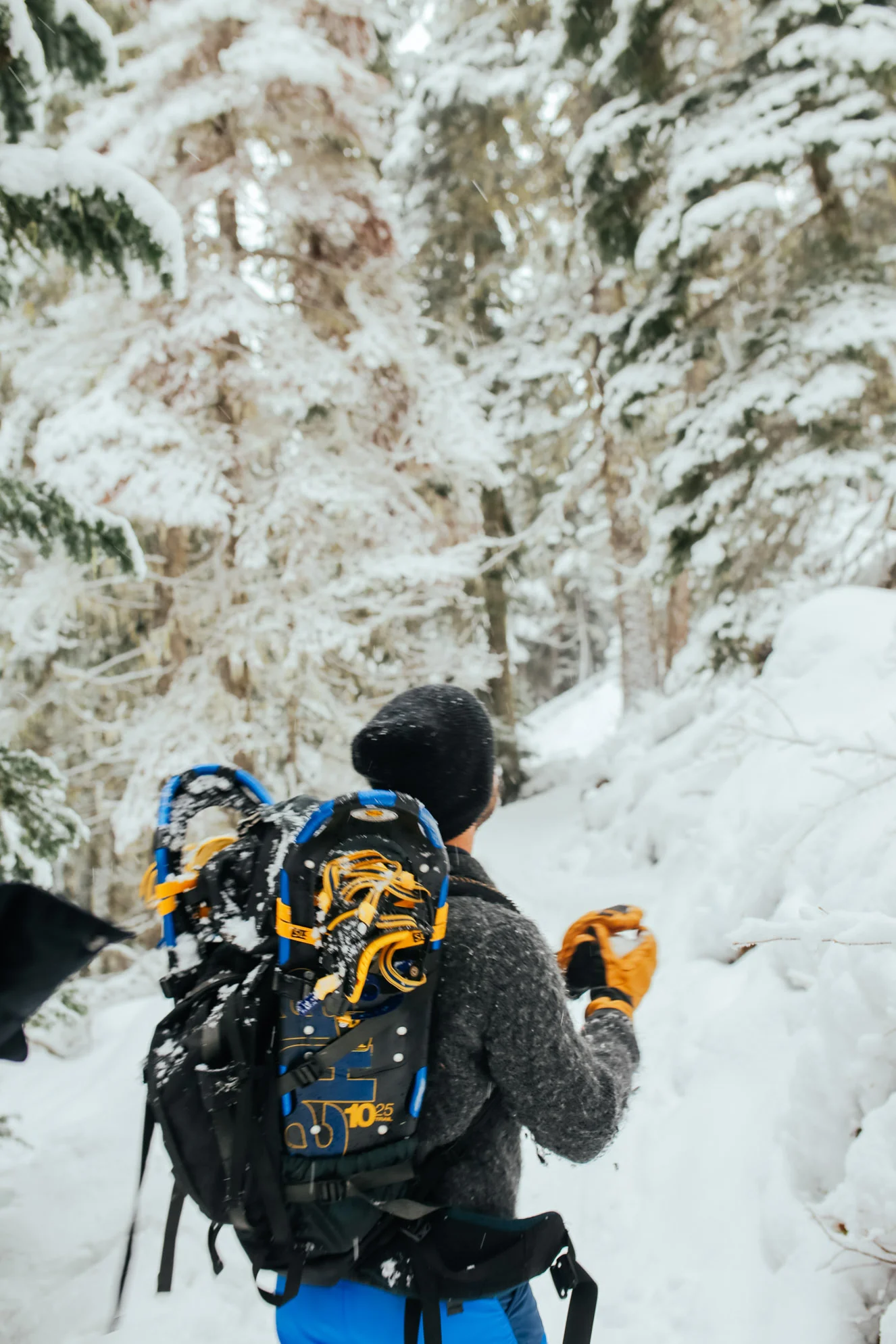 Snowshoeing at Joffre Lakes, BC — Local Wanderer
