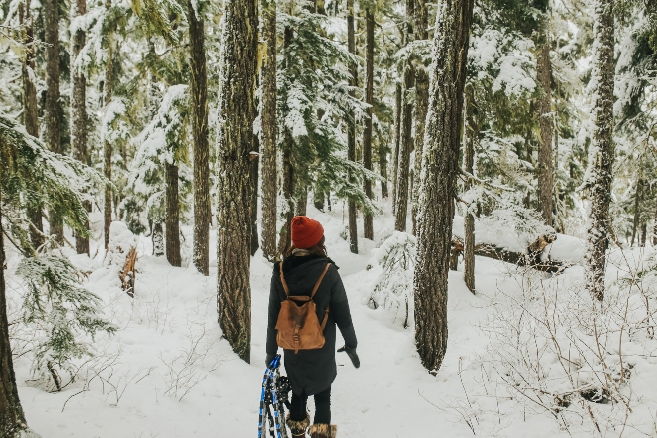 Snowshoeing at Joffre Lakes, BC — Local Wanderer