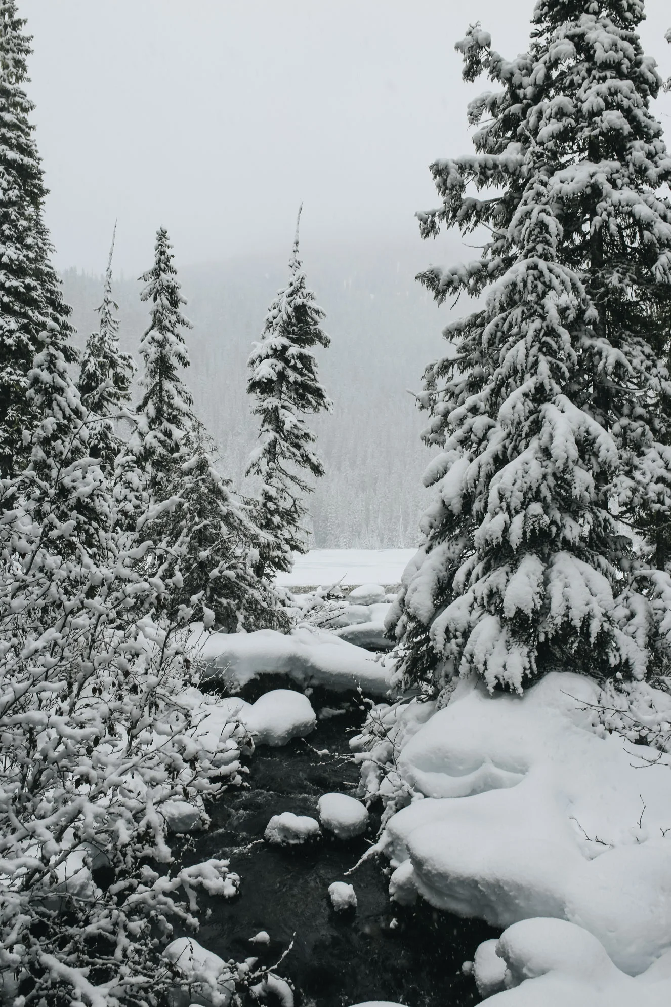 Snowshoeing at Joffre Lakes, BC — Local Wanderer