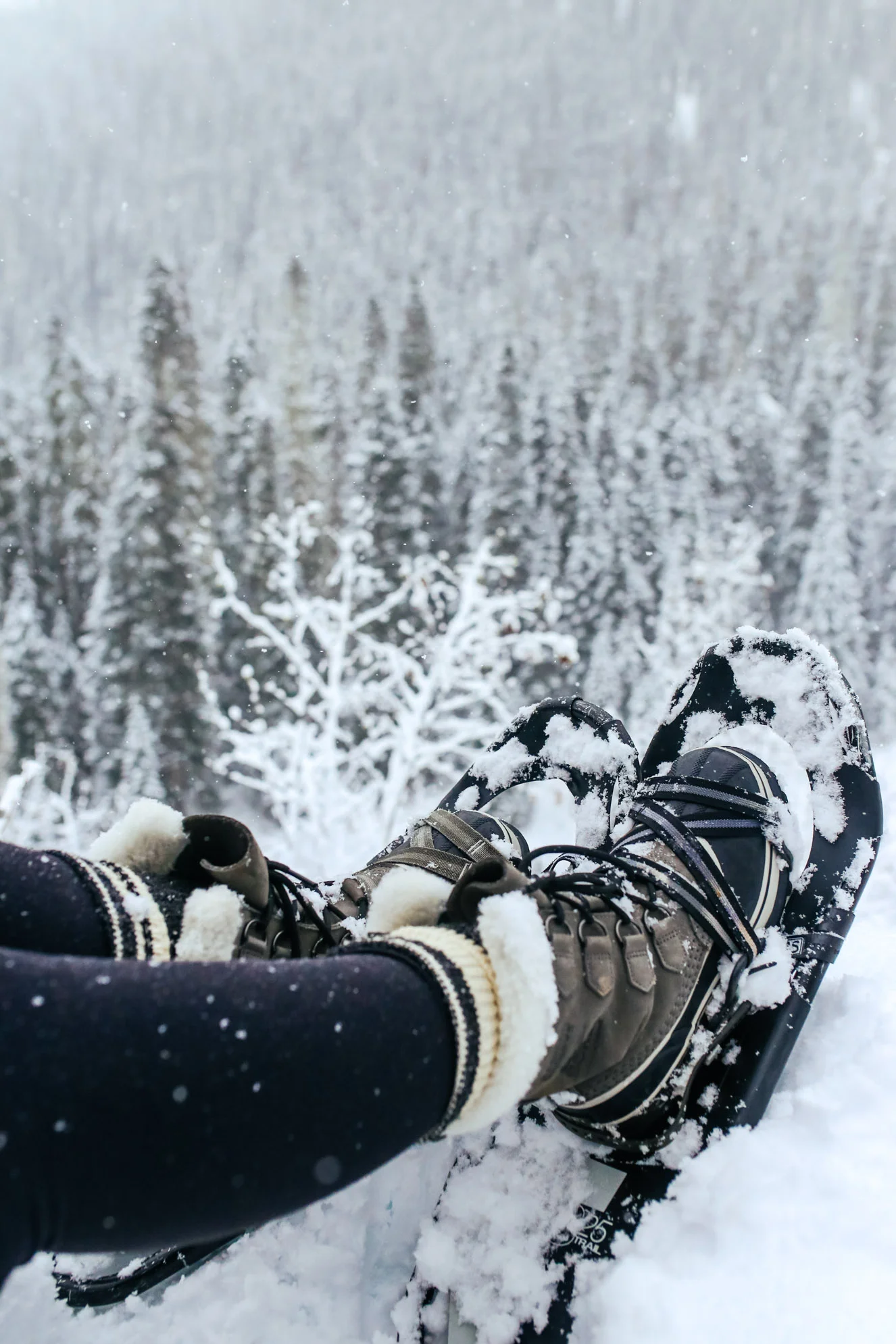 Snowshoeing at Joffre Lakes, BC — Local Wanderer