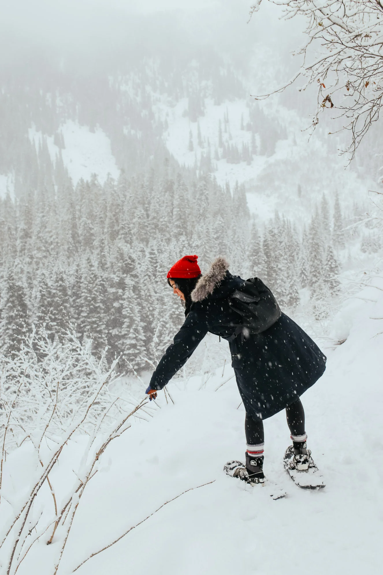 Snowshoeing at Joffre Lakes, BC — Local Wanderer