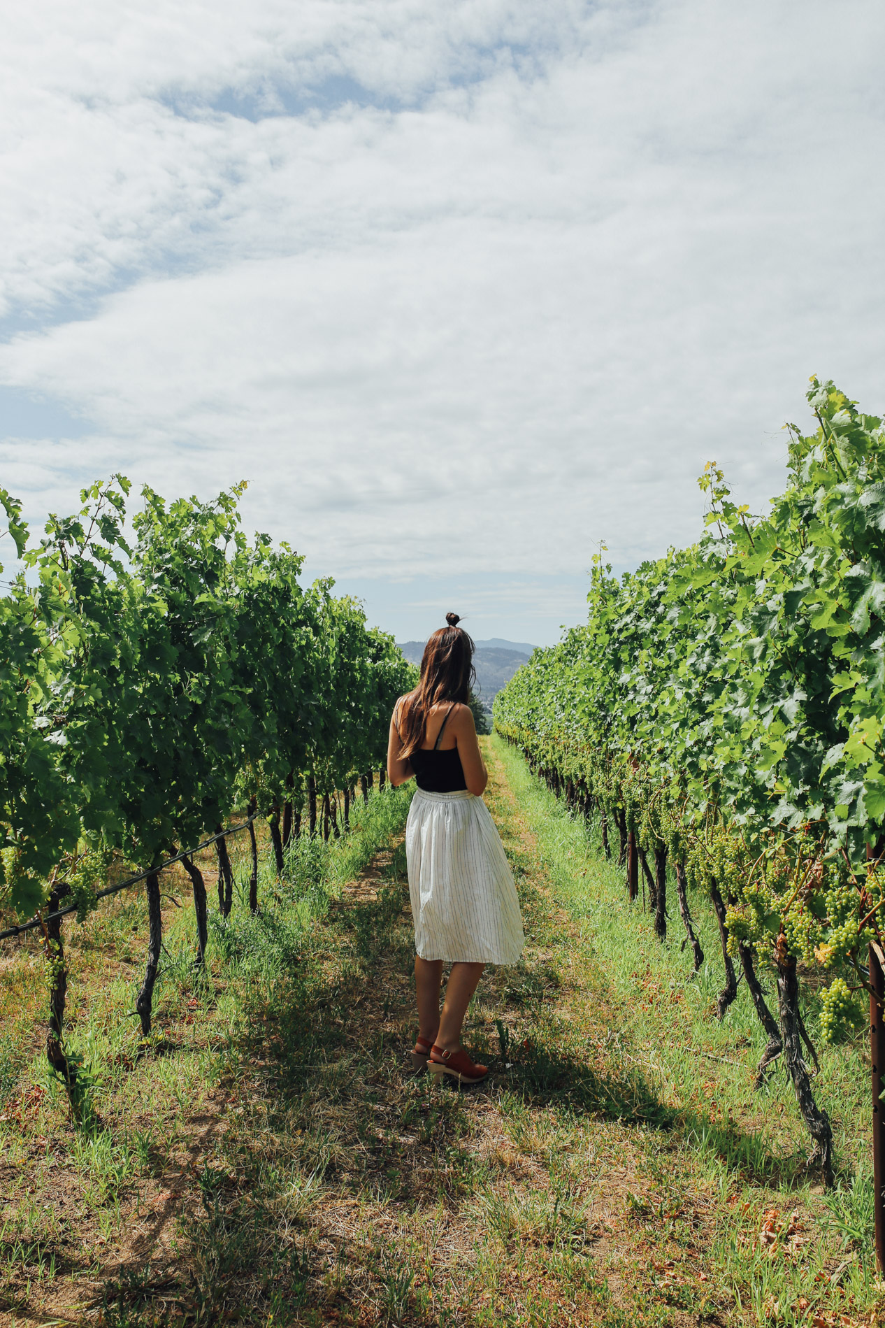 Where to Go Wine Tasting in Oliver, BC — Local Wanderer