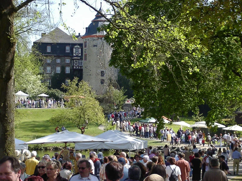 la villa cotta schloss.jpg