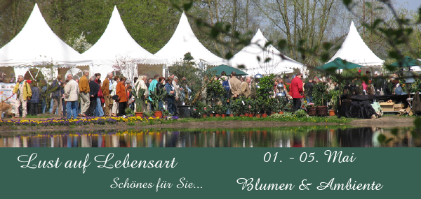 Header Blumen & Ambiente.png