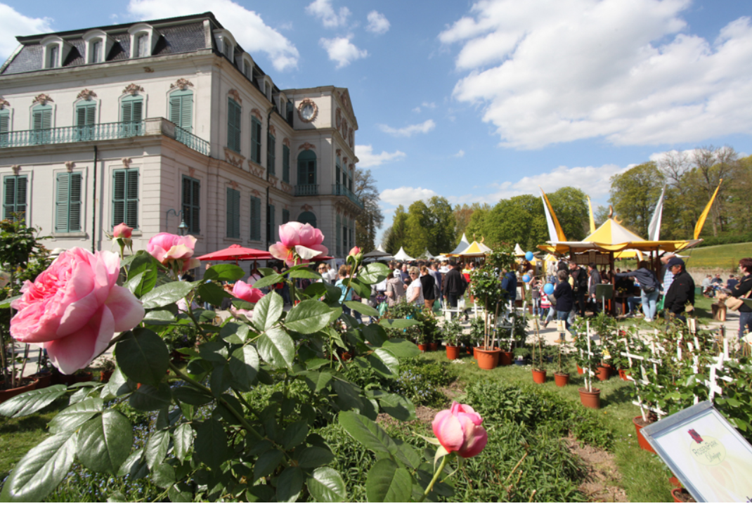 Events: Gartenfest Kassel — Lust auf Lebensart
