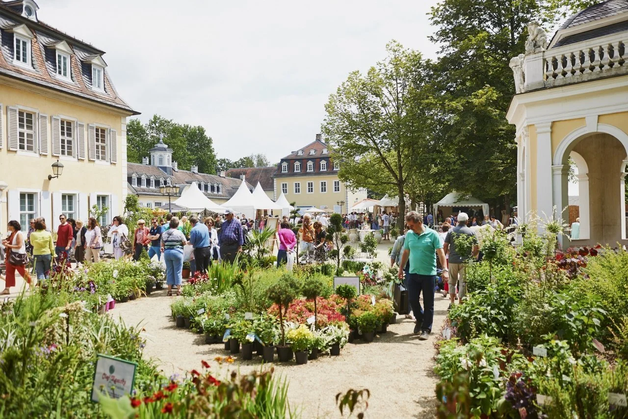 staatspark-wilhelmsbad.jpg