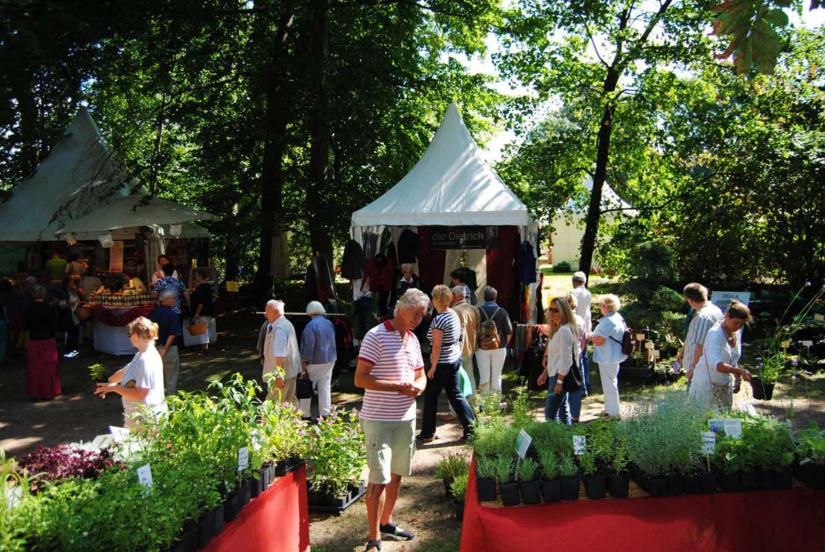 romantic garden.jpg