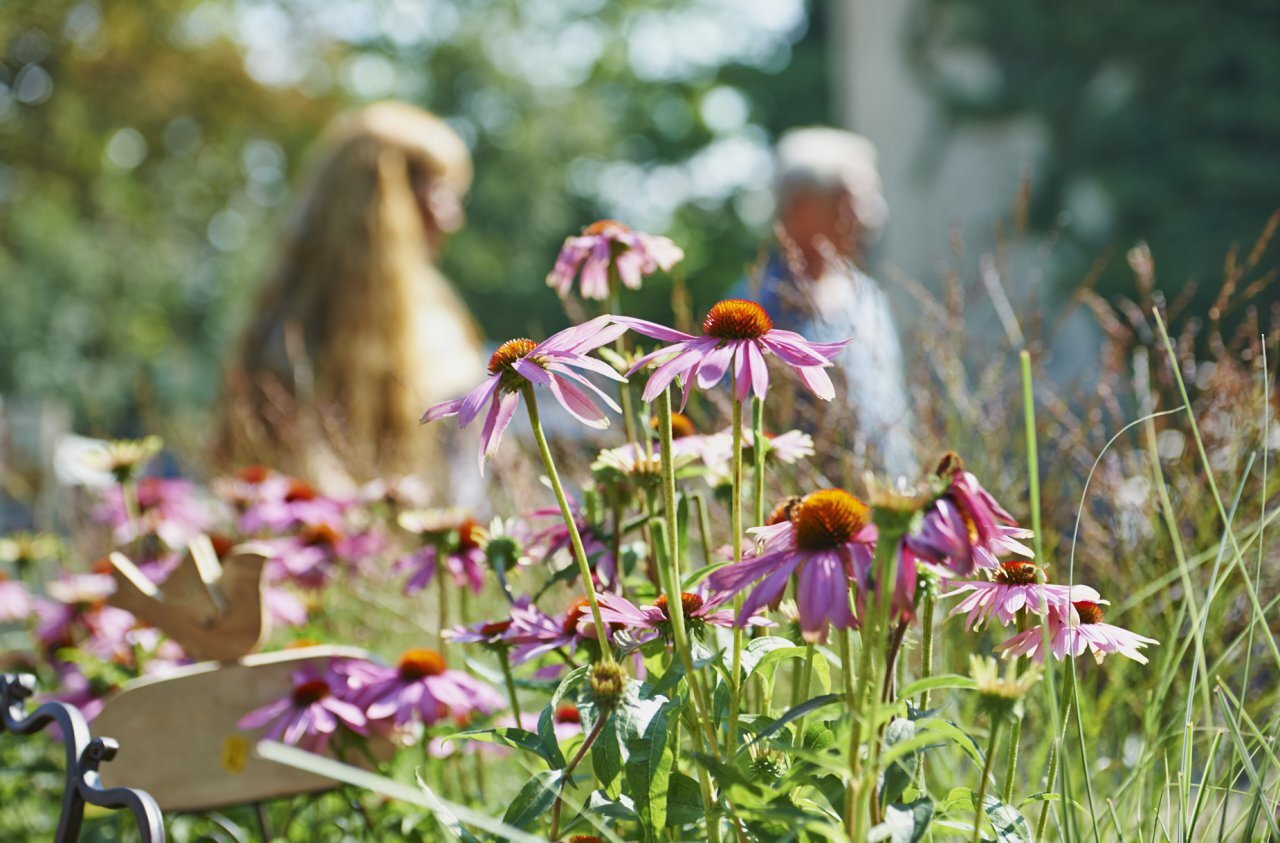 gartenanlage-kassel.jpg