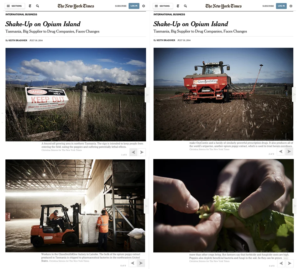 The New York Times, Sunday Business Online Gallery