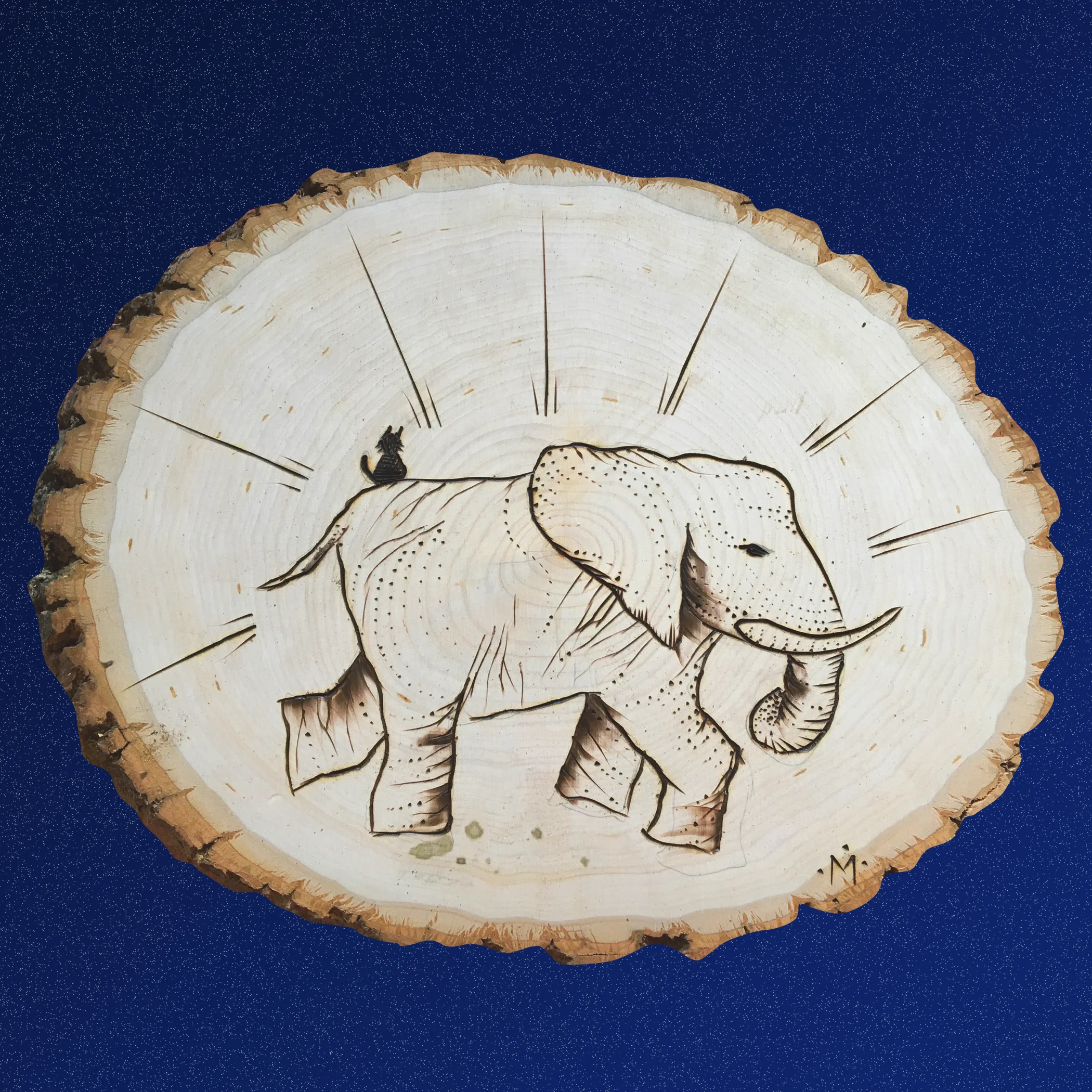 elephant.jpg