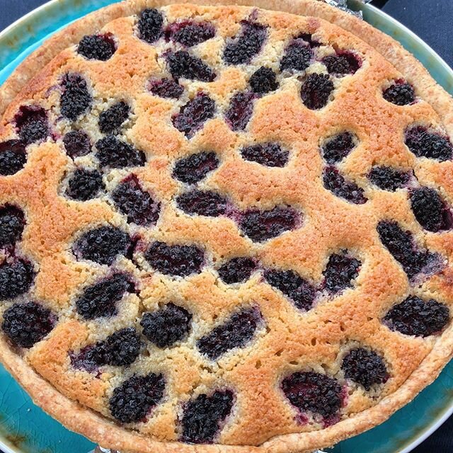 BlackBerry Frangipane tart on my lap, en route to Newcastle! God I hope it gets there in one piece 🤞🏽