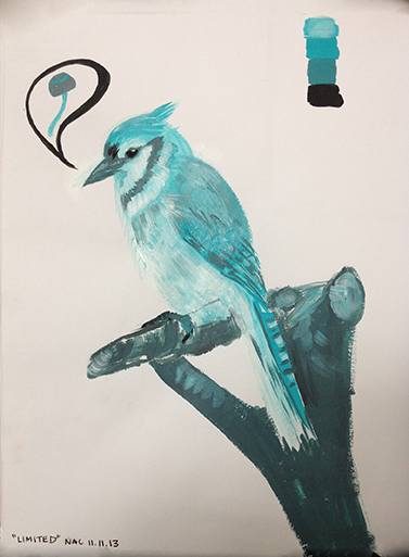 Blue Jay