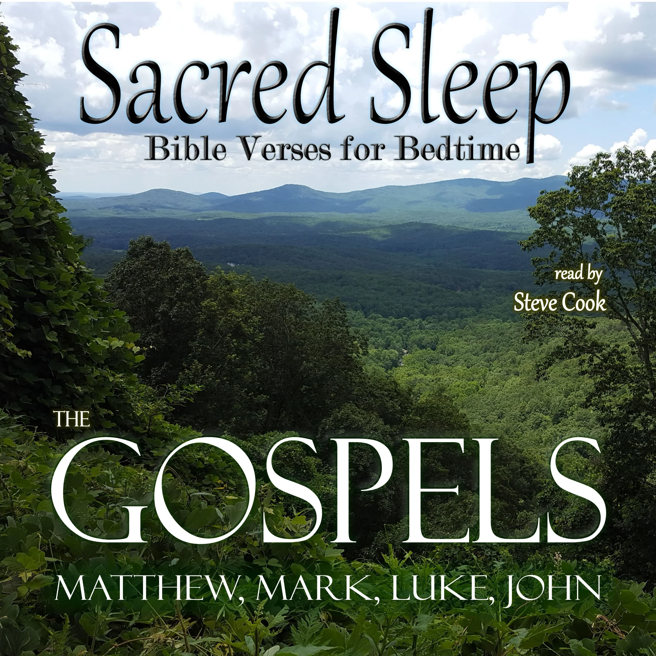SSNT_Gospel2.jpg
