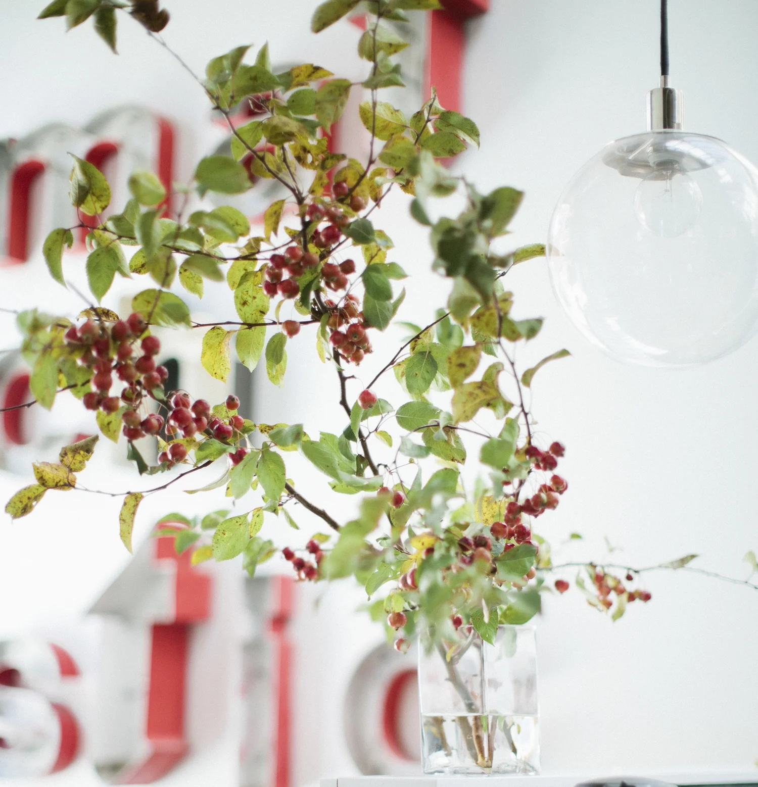 Styling by Juli Vaughn