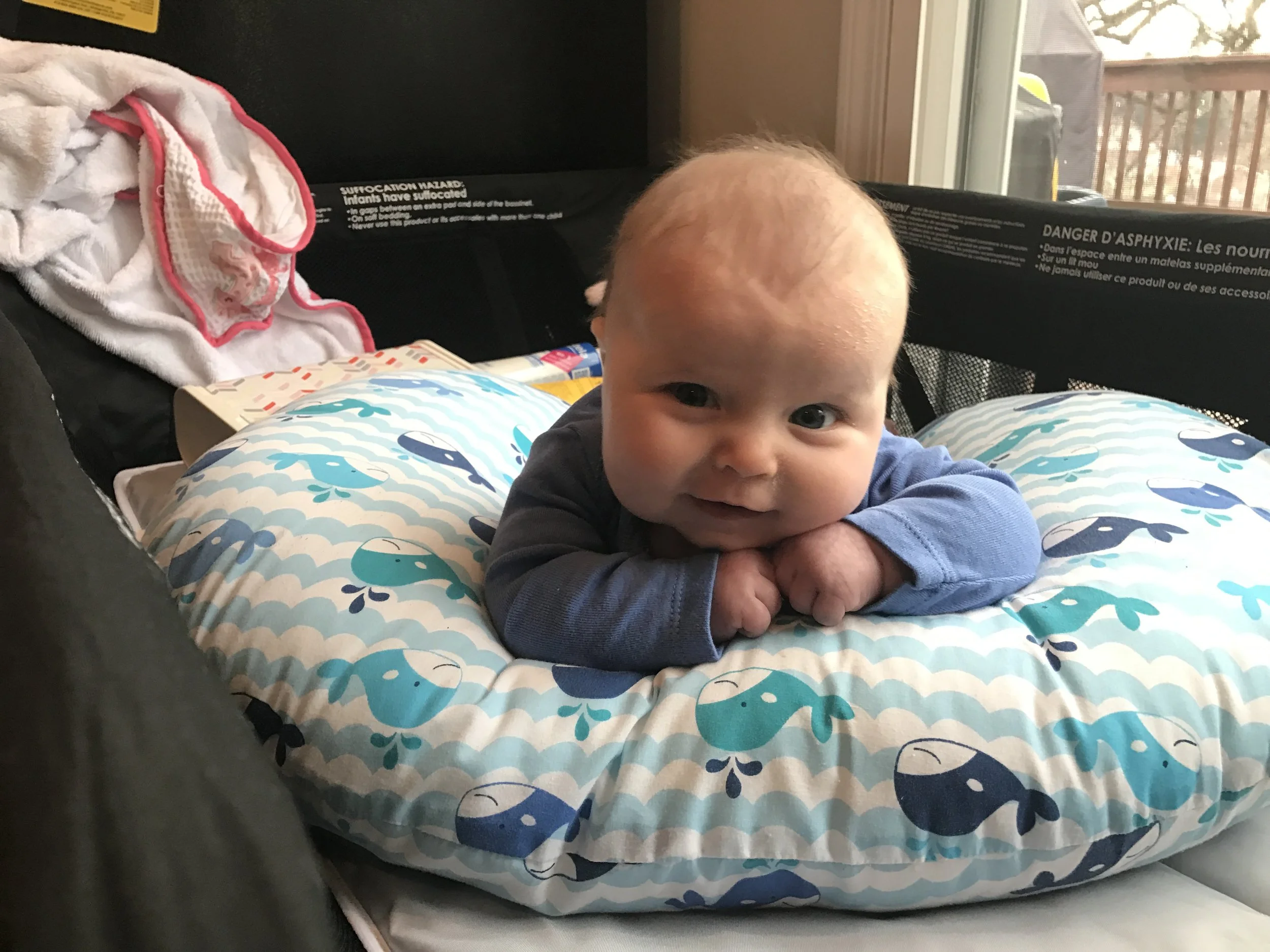 Shanahan Clan - January 2017 Photo Collection