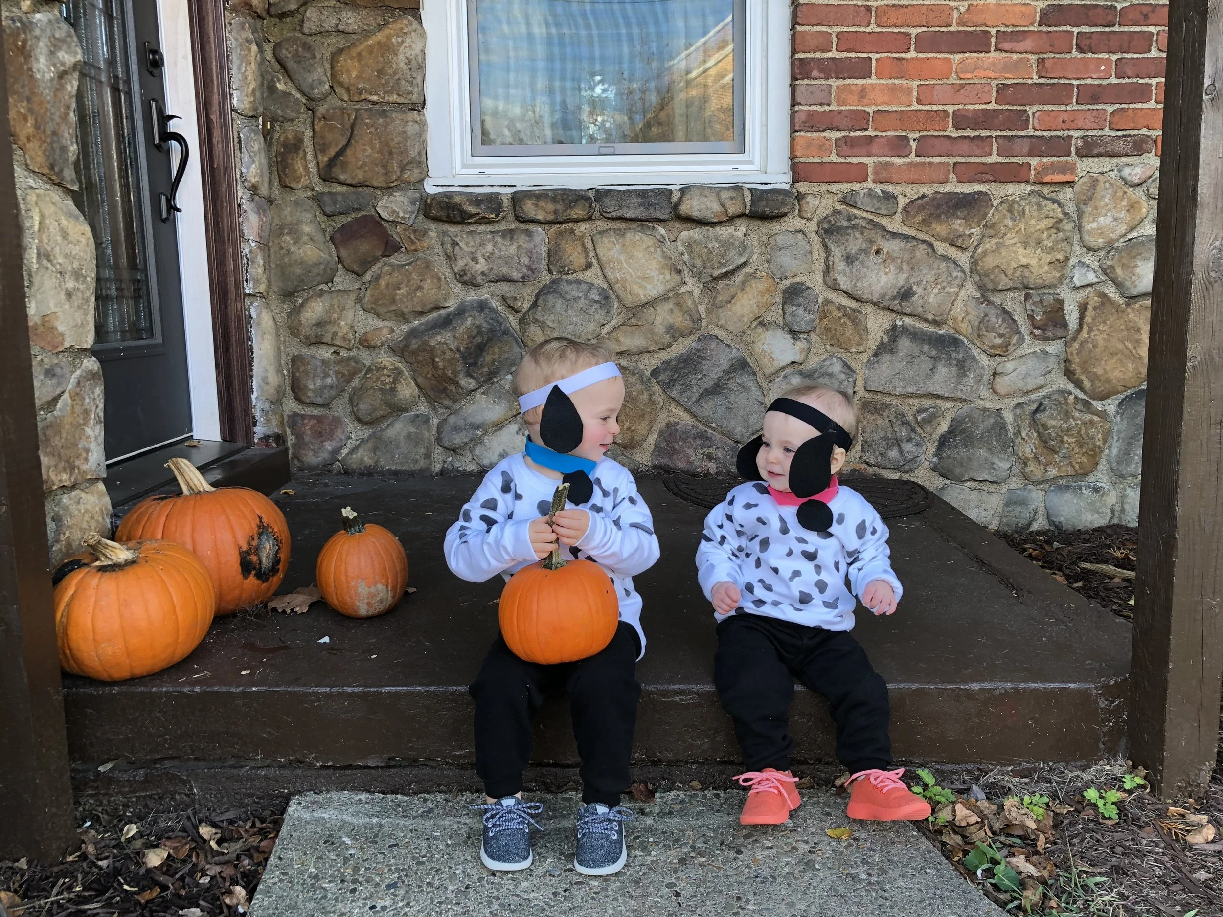 Shanahan Clan - October 2017 Photo Collection