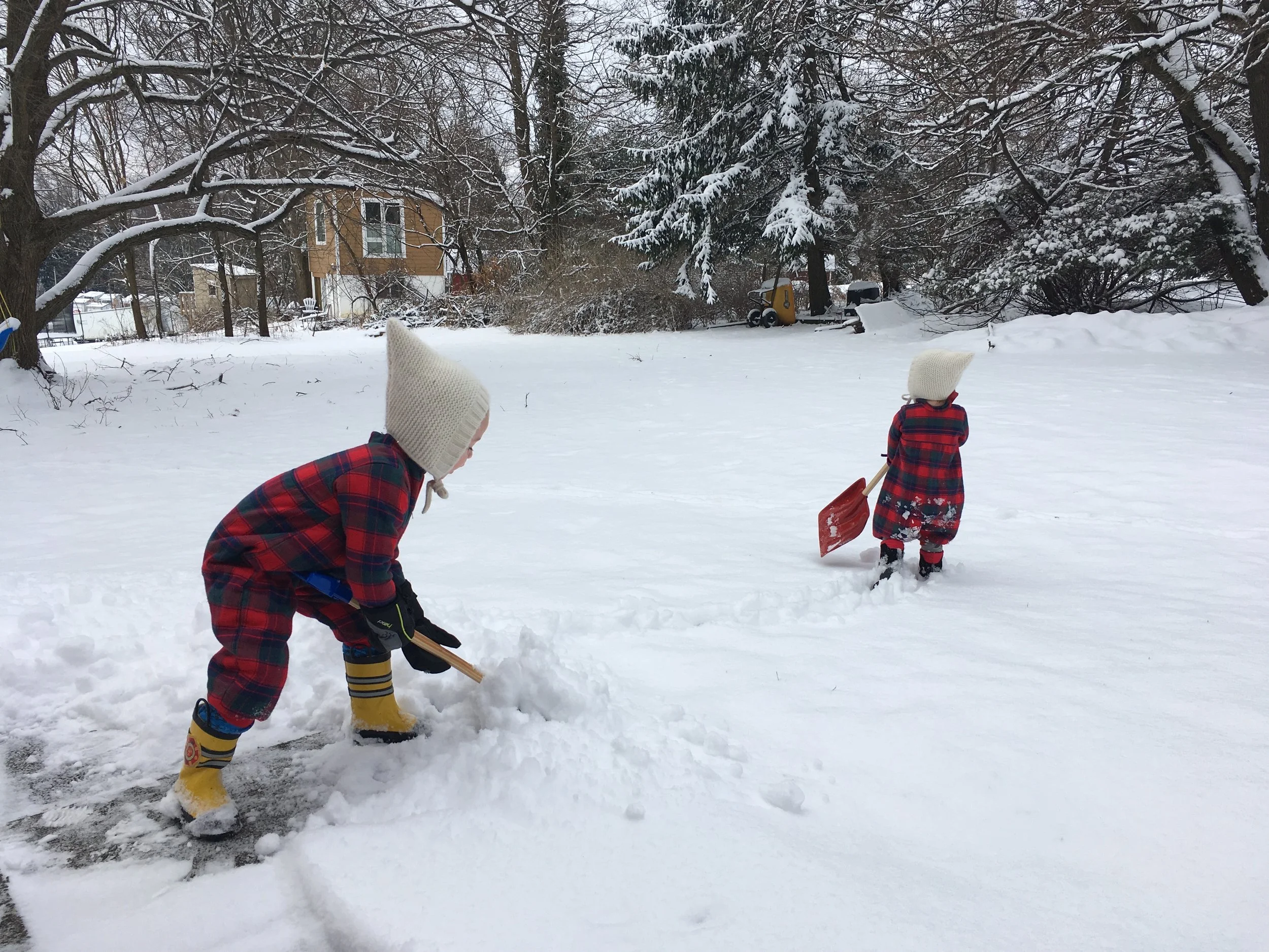 January 2019 Photo Collection