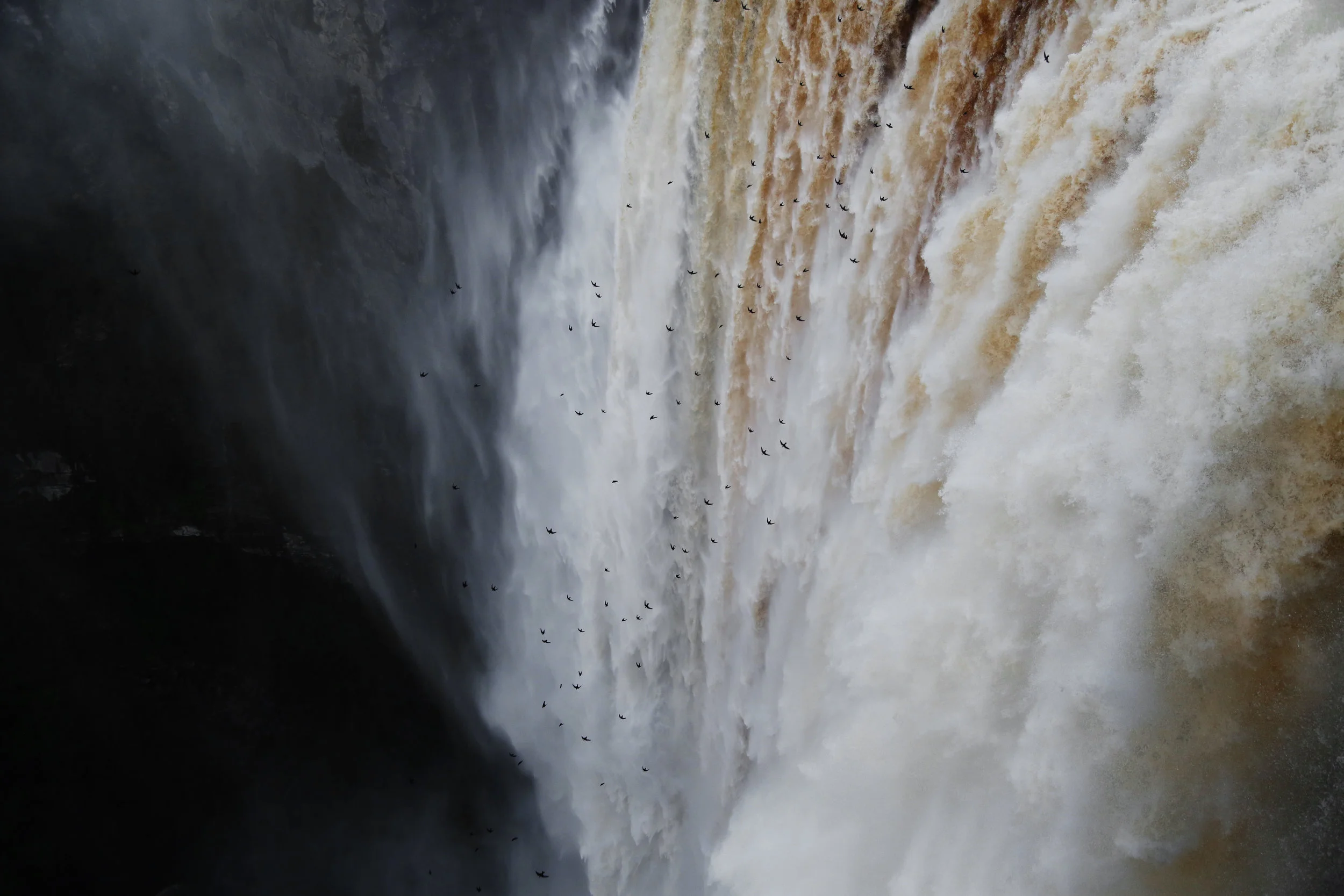 EVERY EVENING AT DUSK, THOUSANDS OF SWALLOWS CIRCLE IN THE SKY AND MAKE THE PLUNGE TO FIND SHELTER IN THE CAVE BENEATH THE FALLS AT NIGHT.