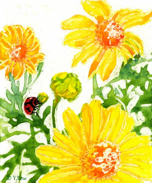 Ladybird-daisy.jpg