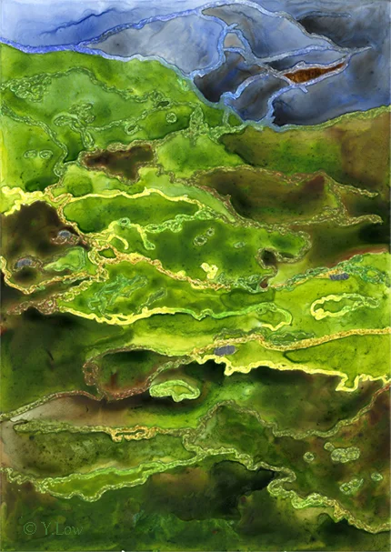 Megalong Valley, Blue Mountains, Australia
