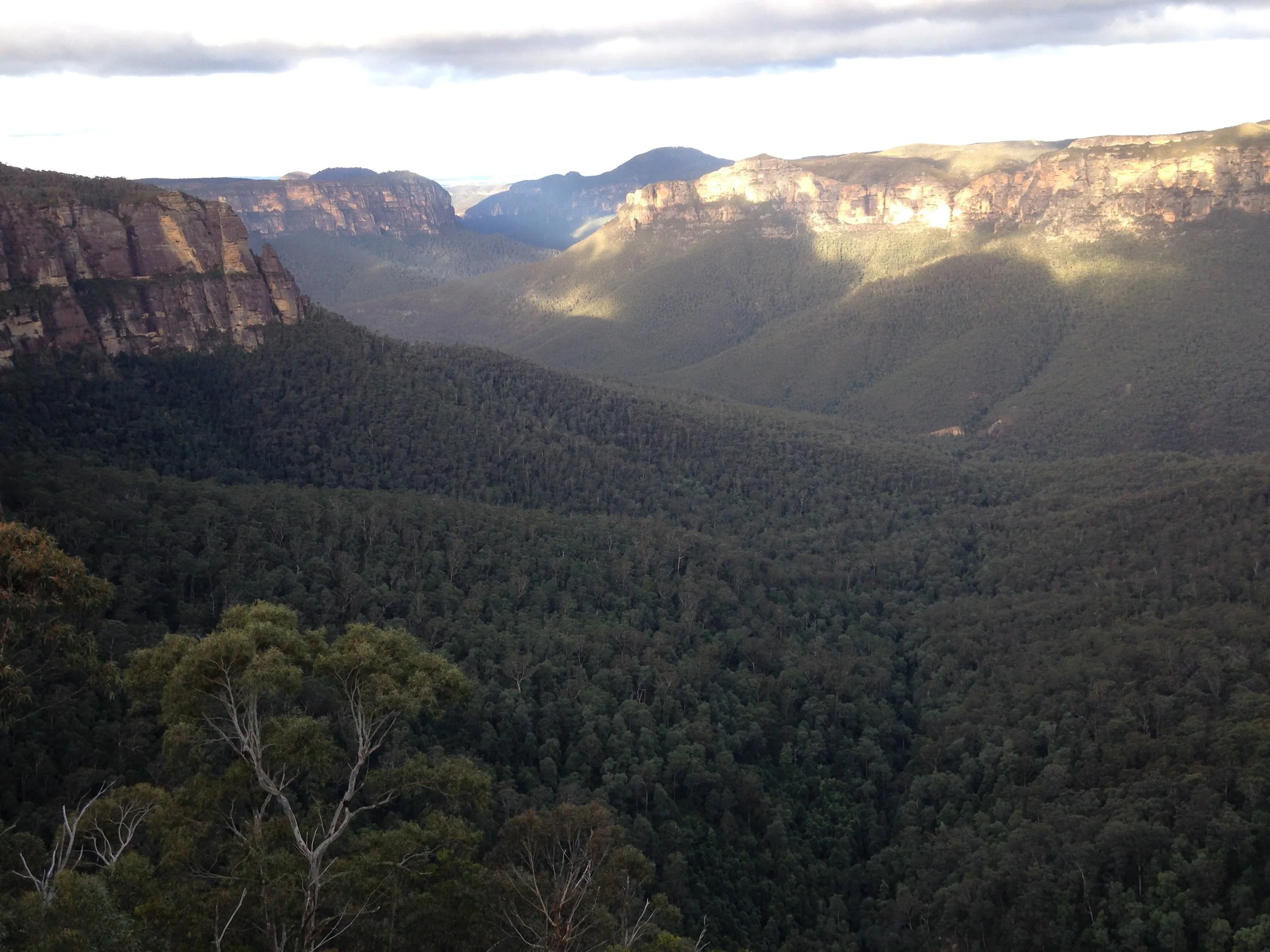 The view from Govett's Leap, Blackheath, not far from Pinerolo. The Blue Mountains - an inspiration in themselves!
