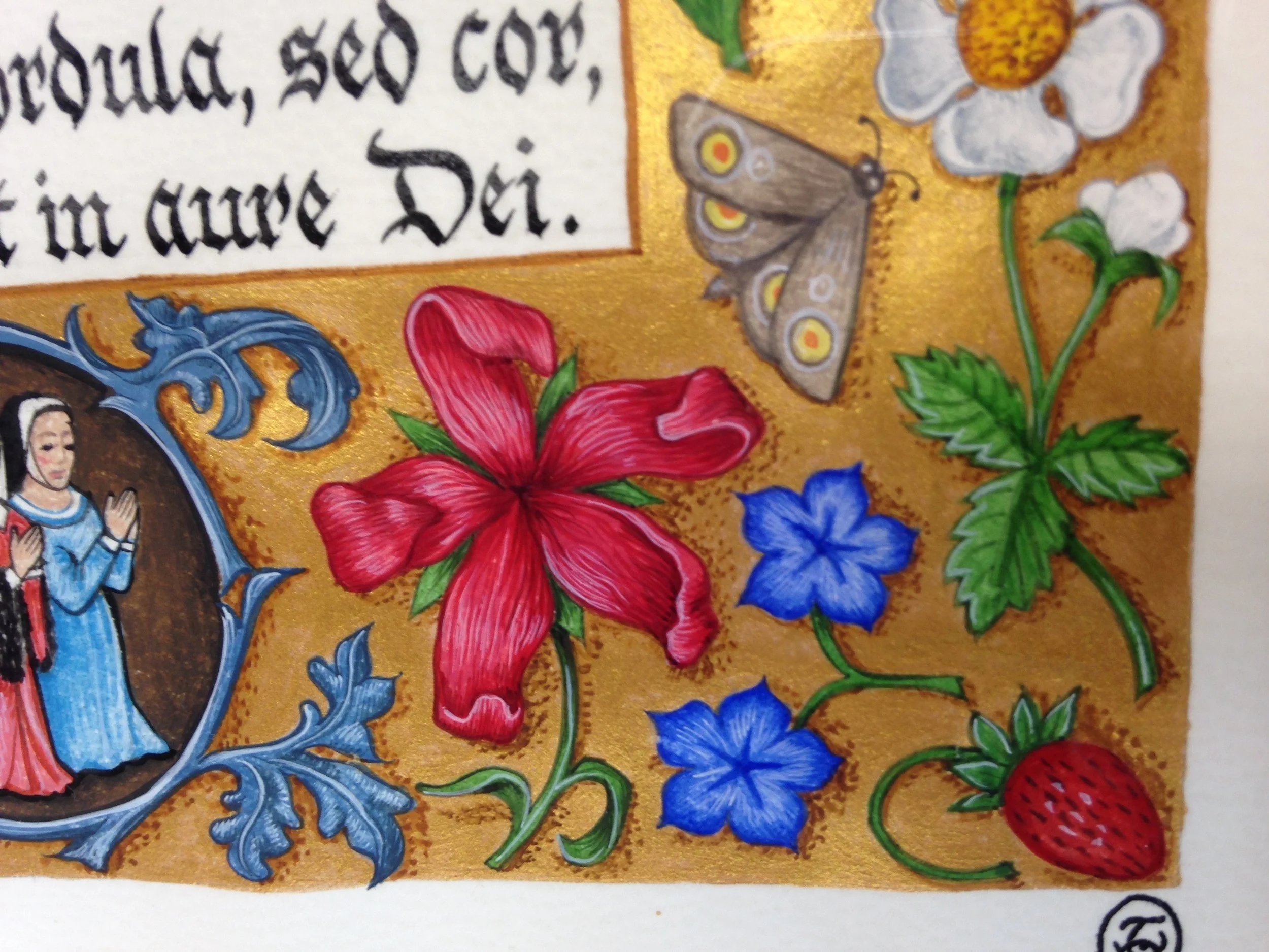 Here's how the expert does it - a detail of some of Tania's beautiful illumination work - part of a 'scatter border'.