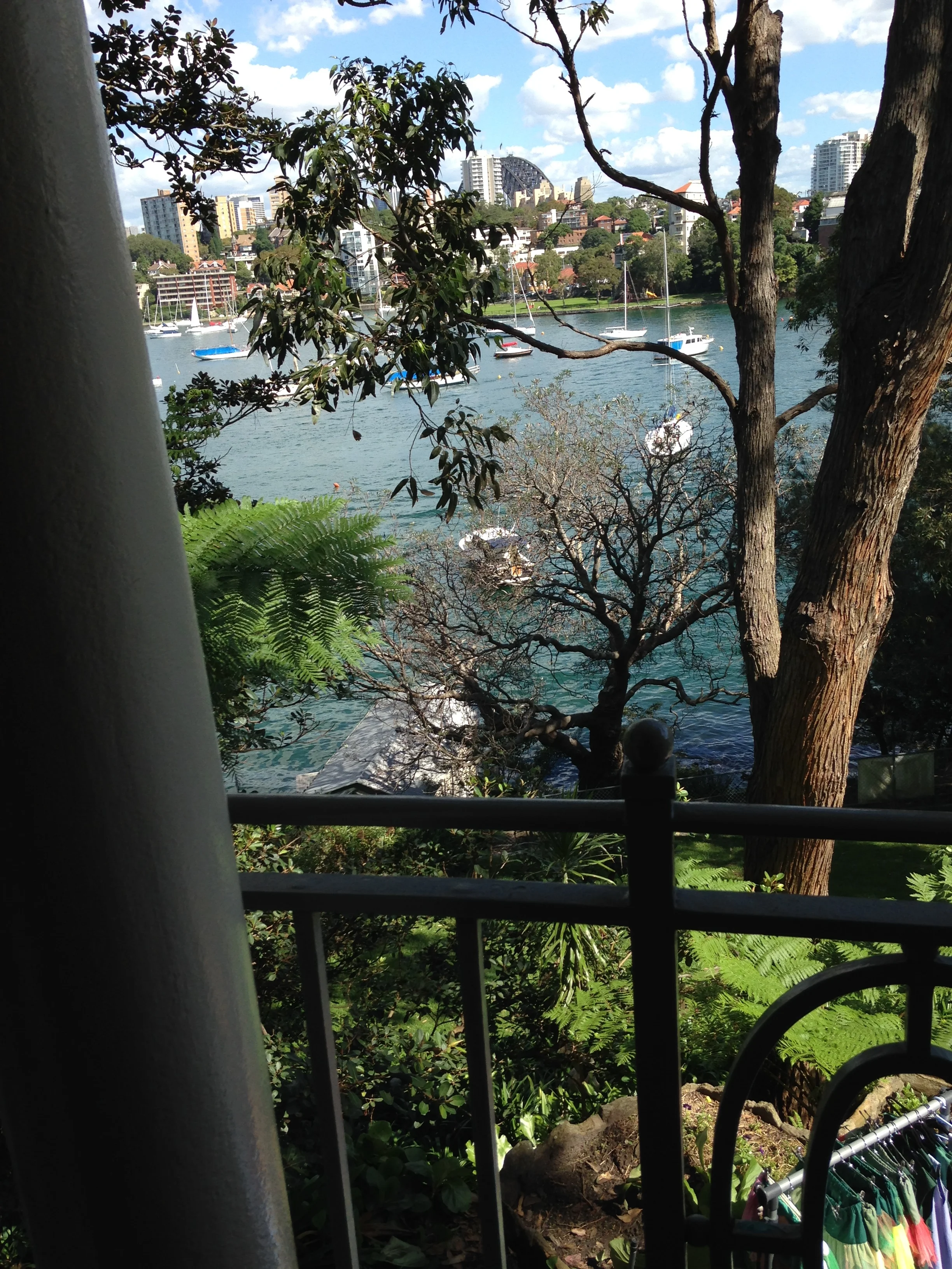 View from back verandah of Nutcote.