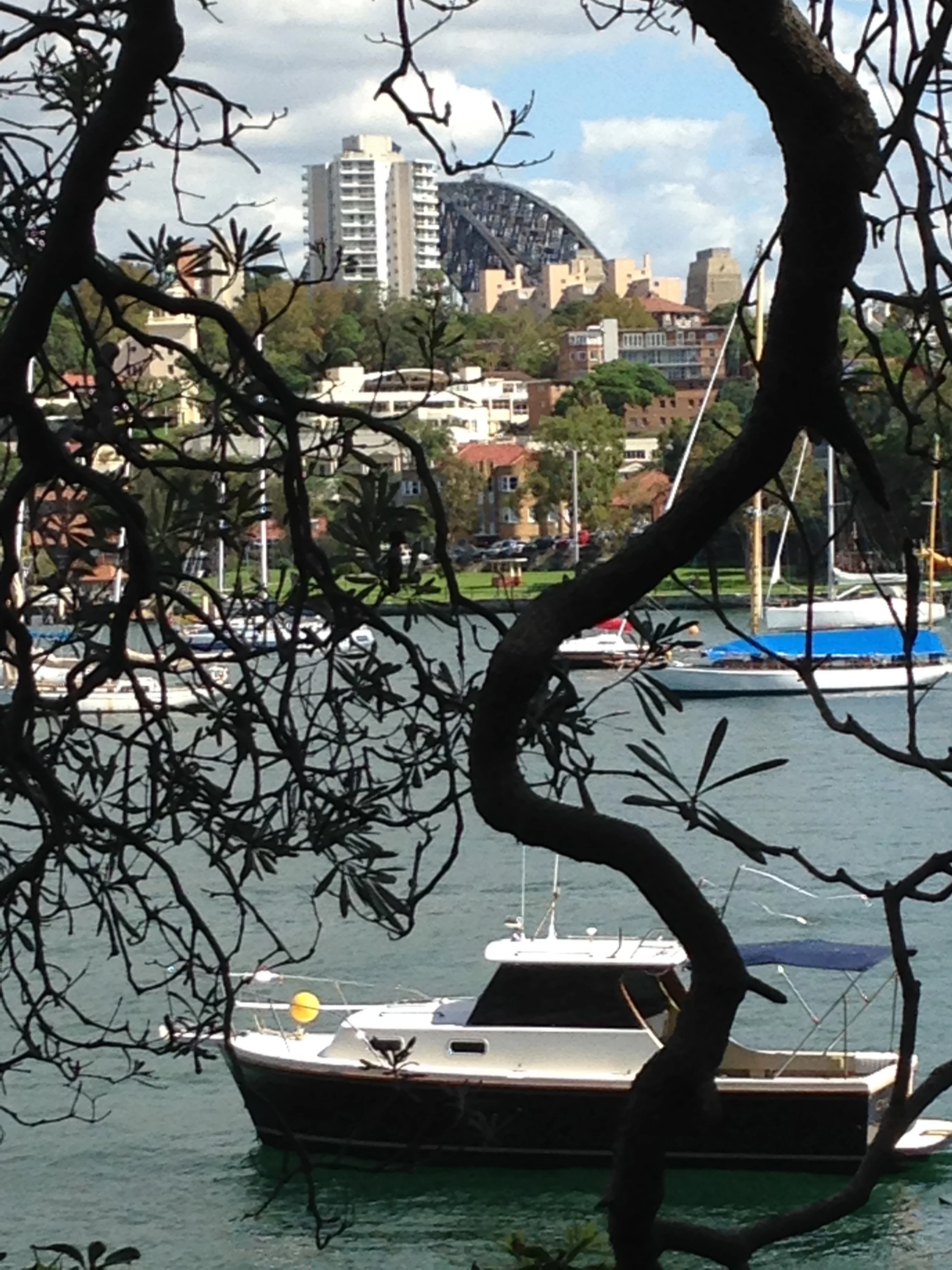 May and her husband watched the Harbour Bridge being built, from the comfort of their own home!