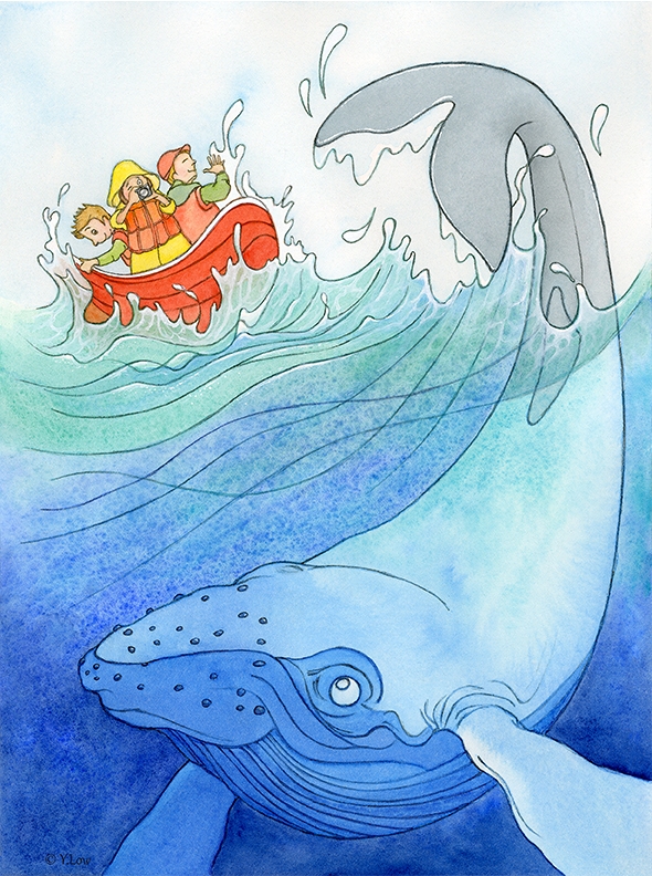  'Splash!' Whale watching...