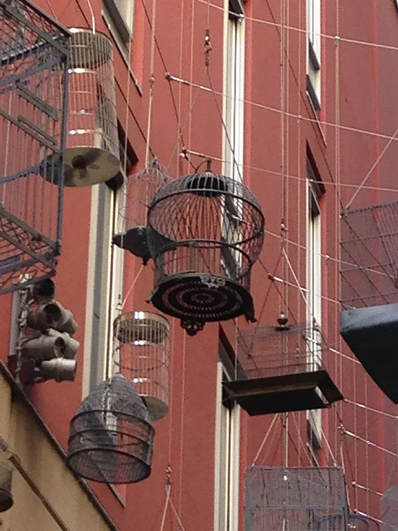 Birdcages Angel Place 3.jpg