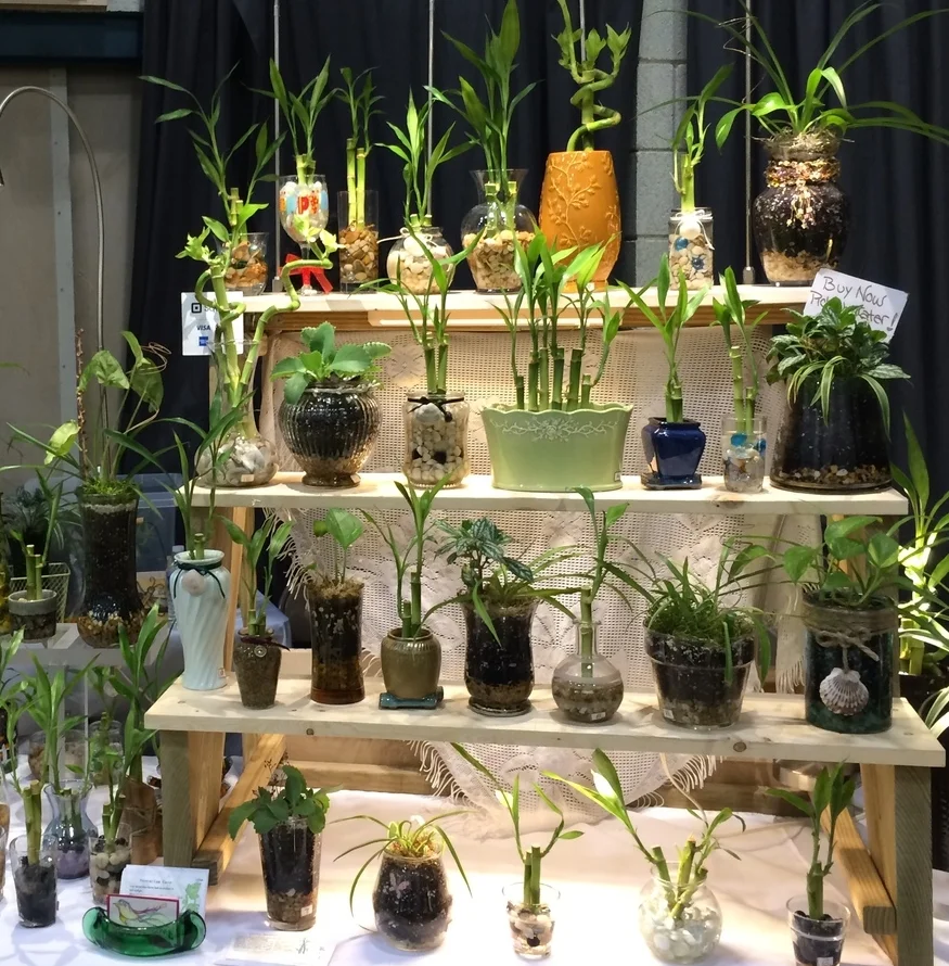 CUT-A-THON FUNDRAISER AND VENDOR SHOW
