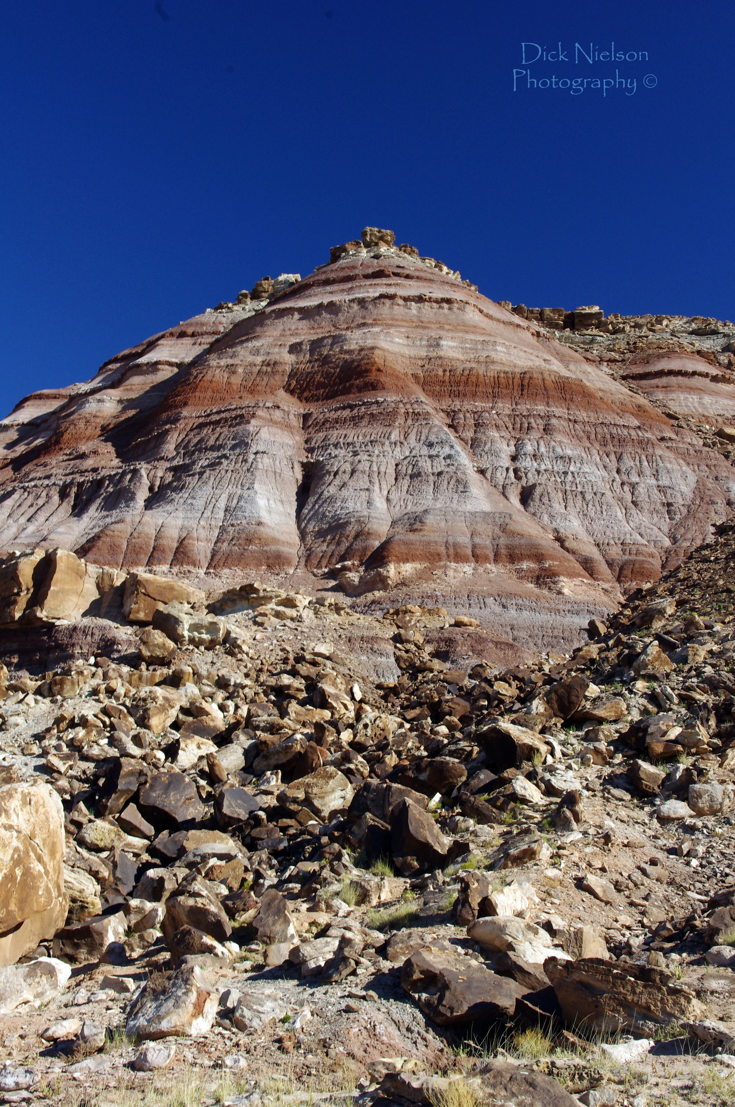 Fossil Point