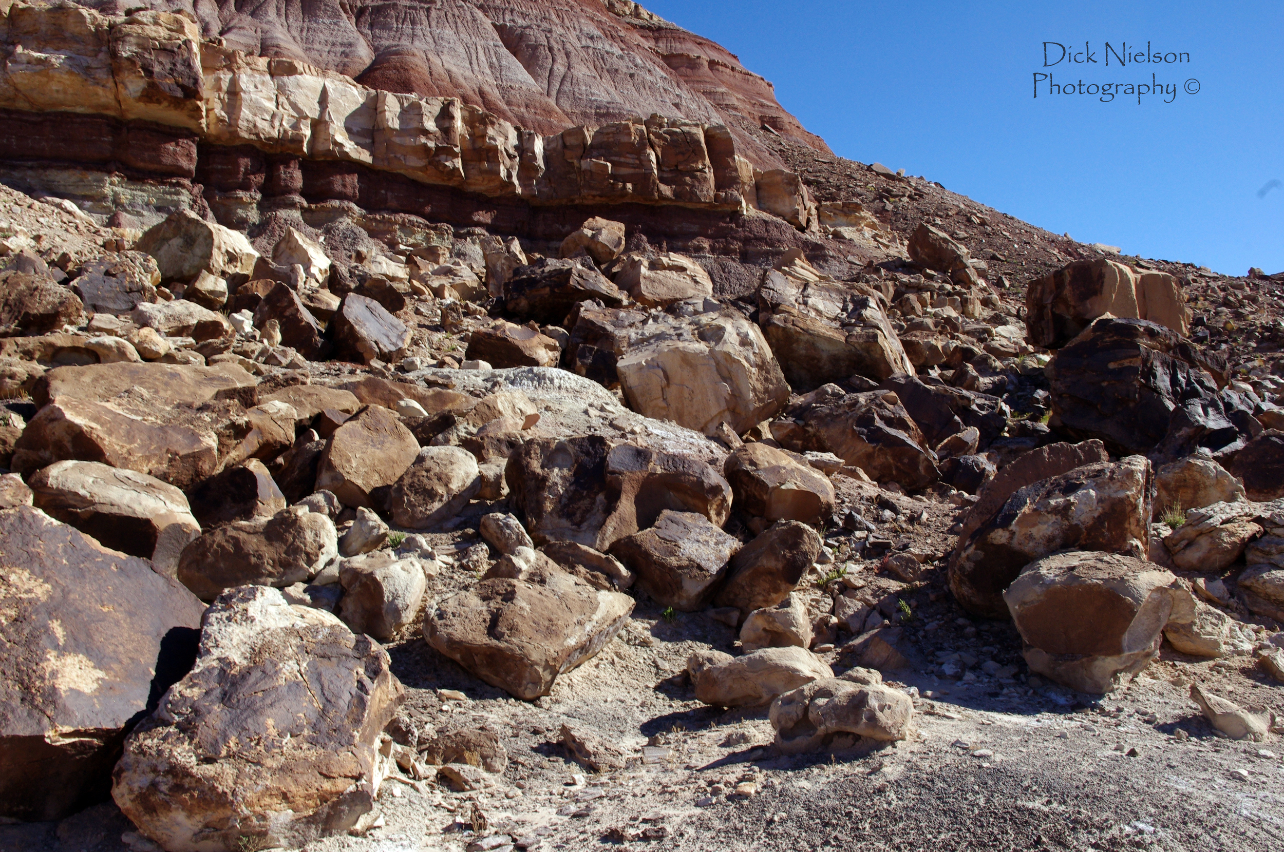 Fossil Point