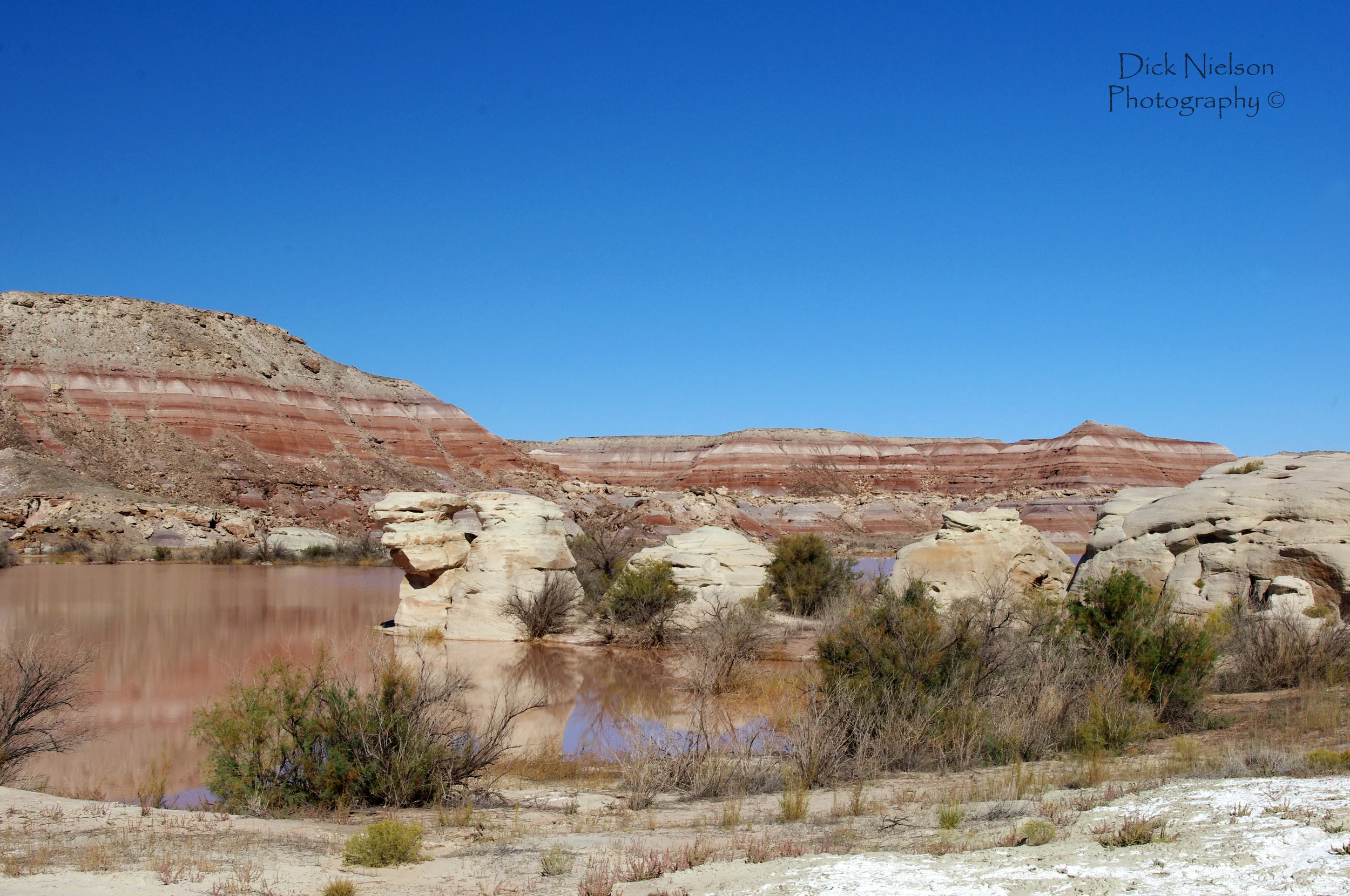 Purple Pond view