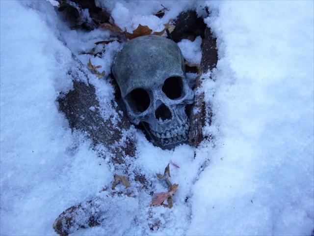 GC1XPWP drgw3128Another shot from a Wherigo, of one of my Pirate containers for a geocachie. He was crazy enough to go hunt in the snow for it.