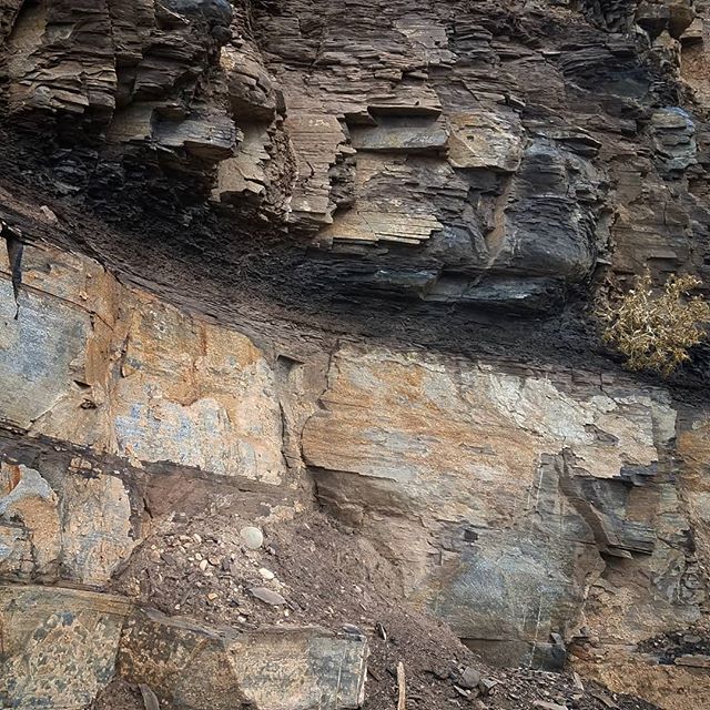 just out geocaching. A site for an #Earthcache checking in on things. #geology #geocache #geocaching #gogeocaching #strata