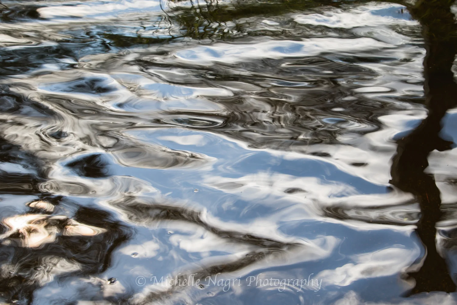 Flooded street after Hurricane Irma, 2017.