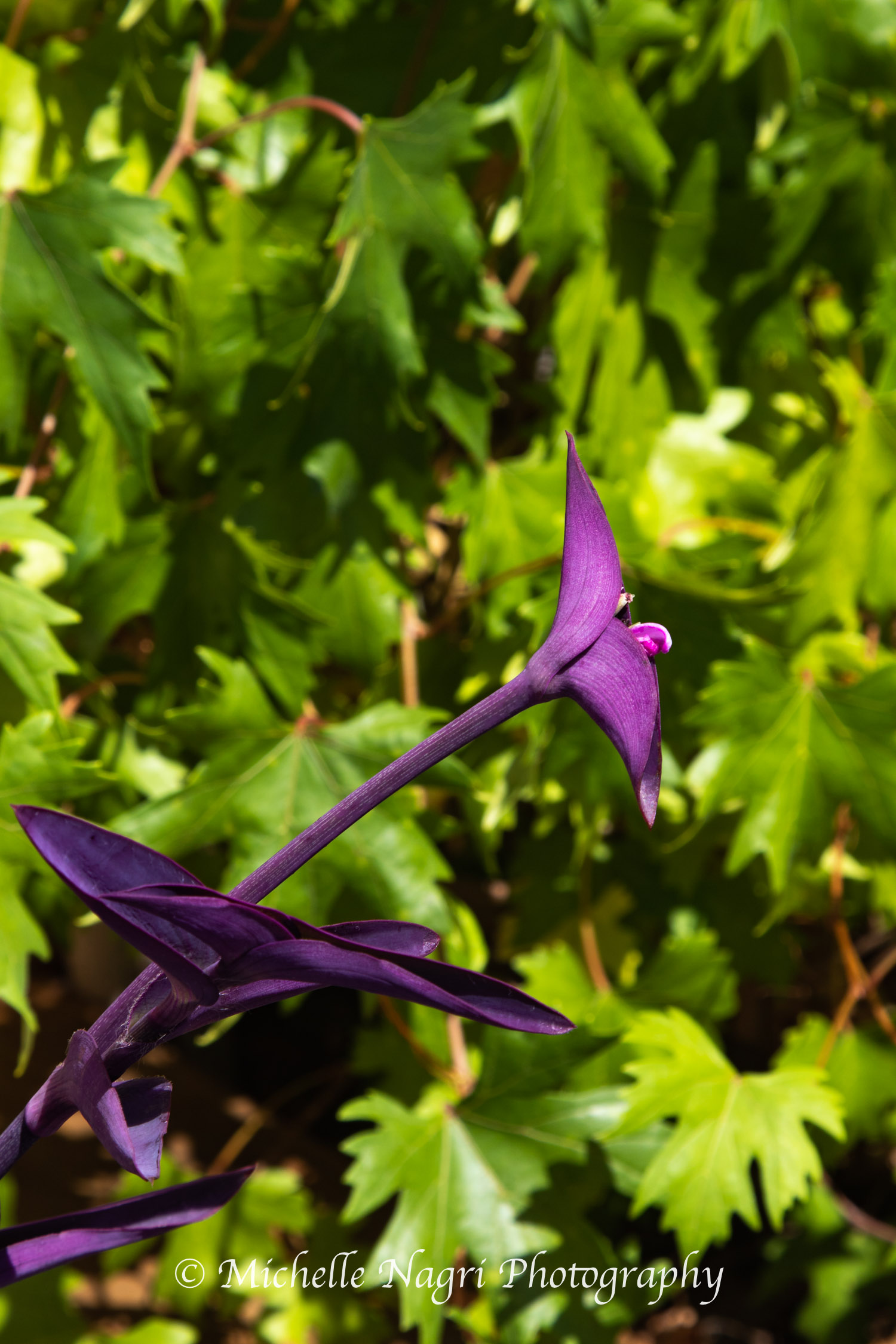 20180623_2051.jpg