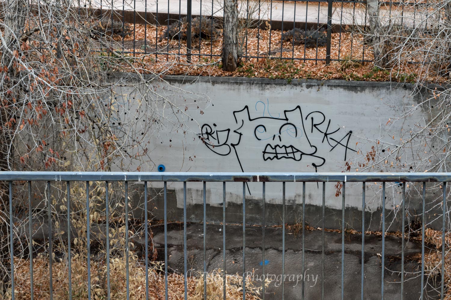 20180215_9468.jpg