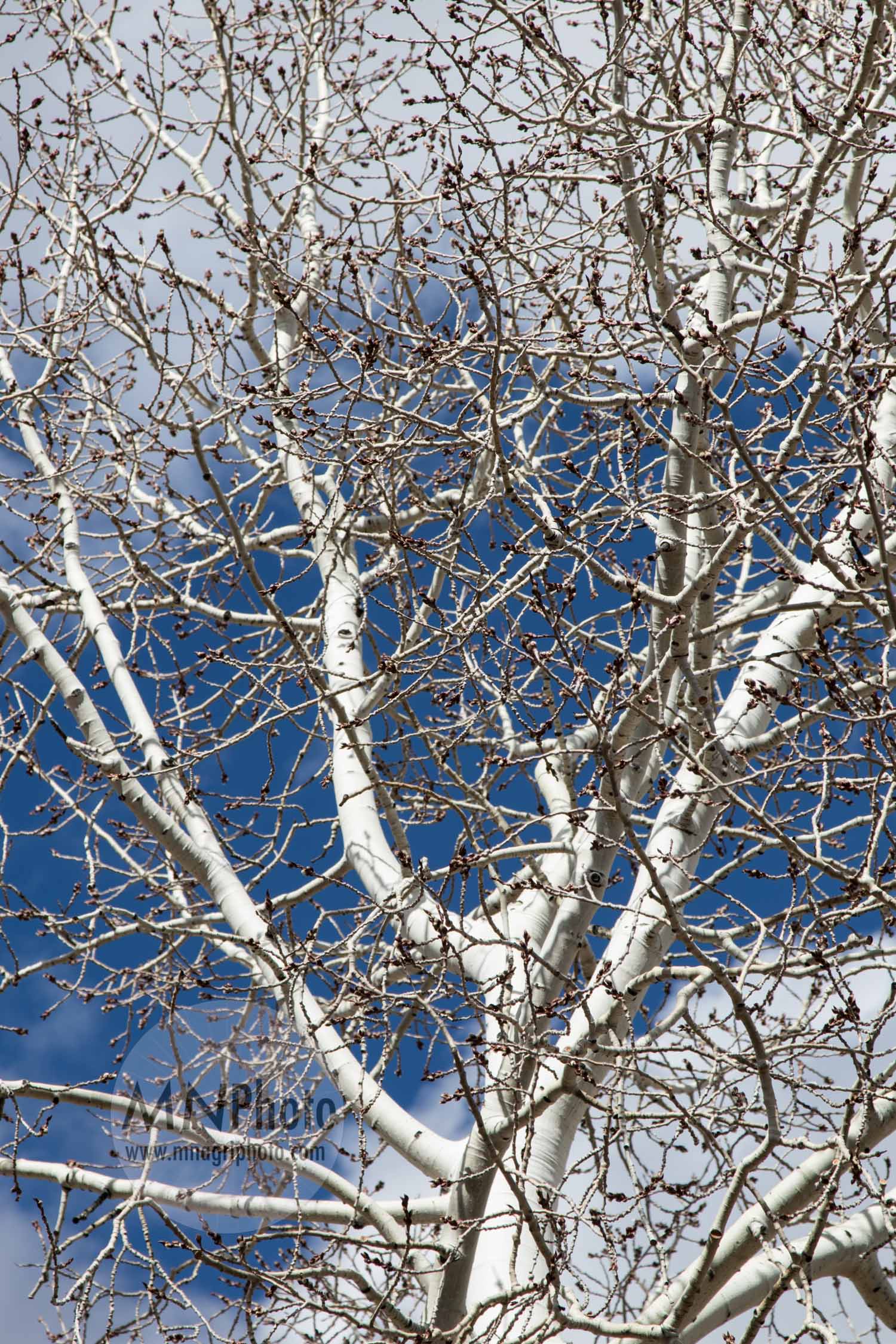 20180219_0278.jpg