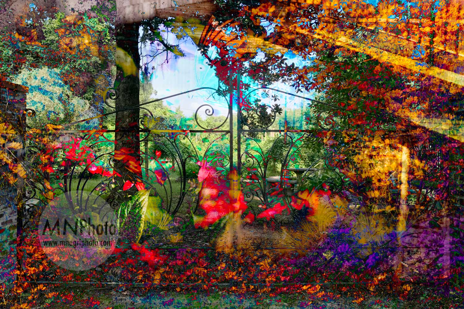 Into the Garden of Dreamers