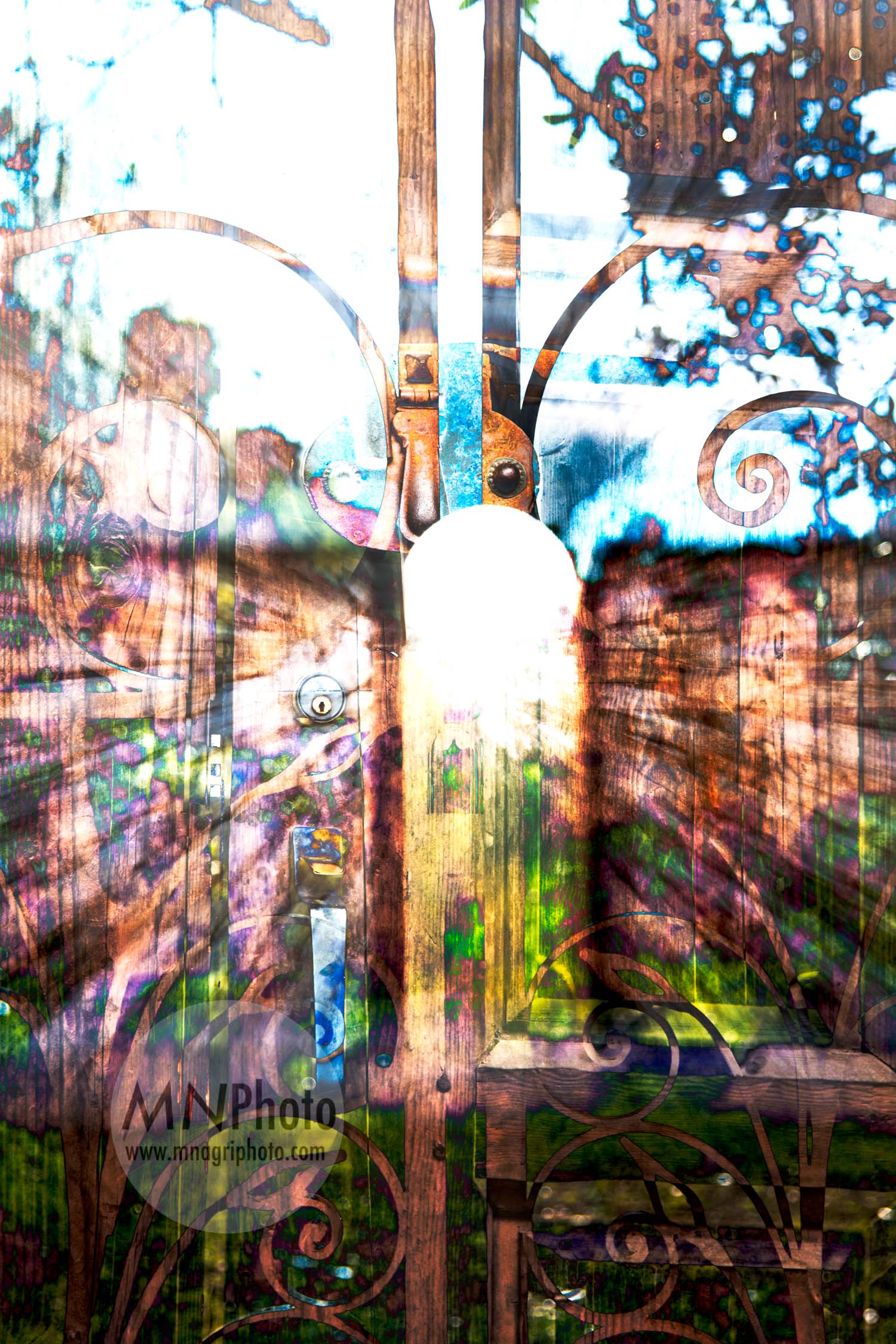 20180215_9388-Edit-4.jpg
