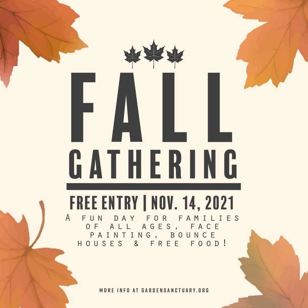 Fall Gathering