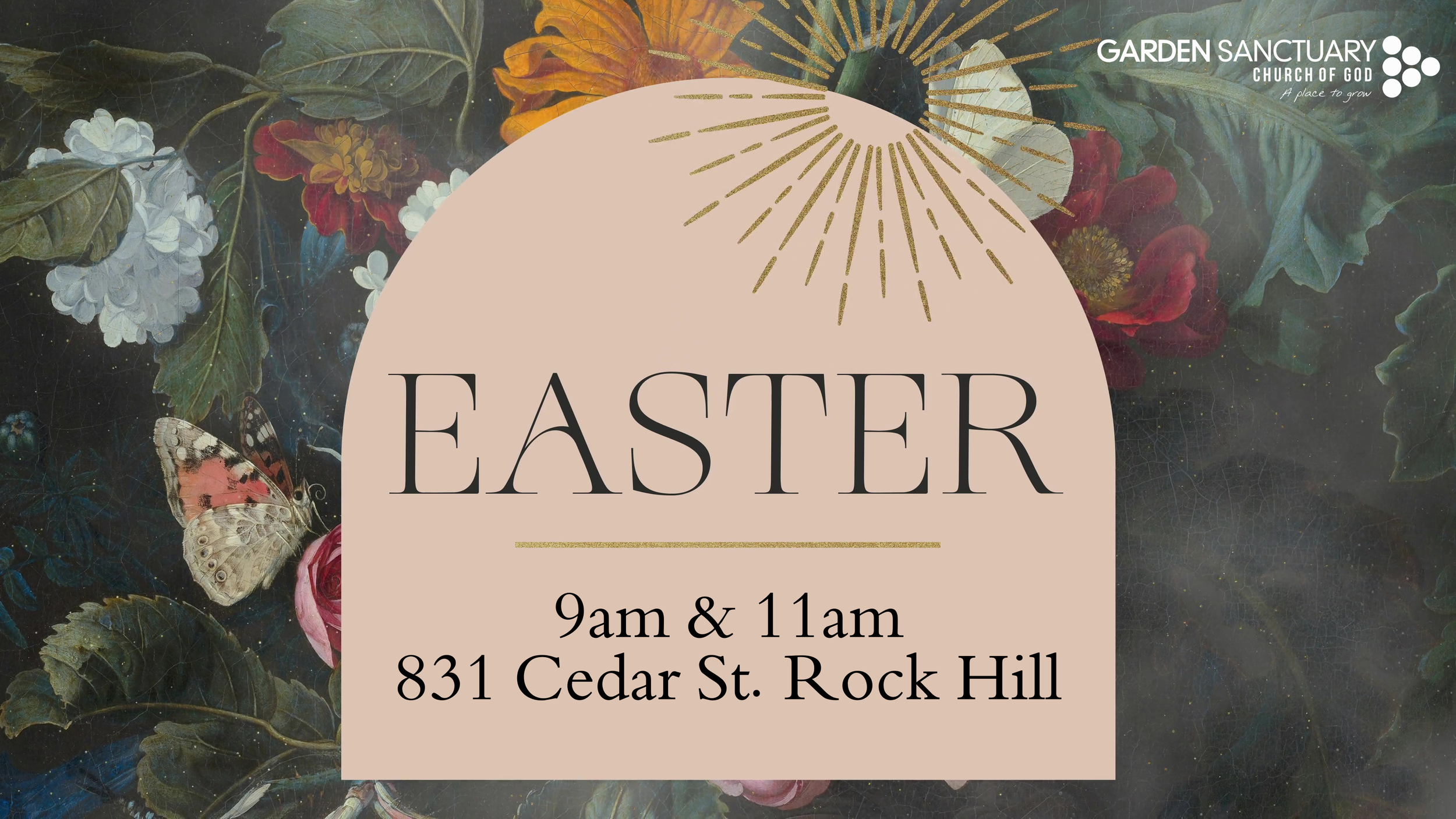 9am & 11am 831 Cedar St. RHSC (1).png