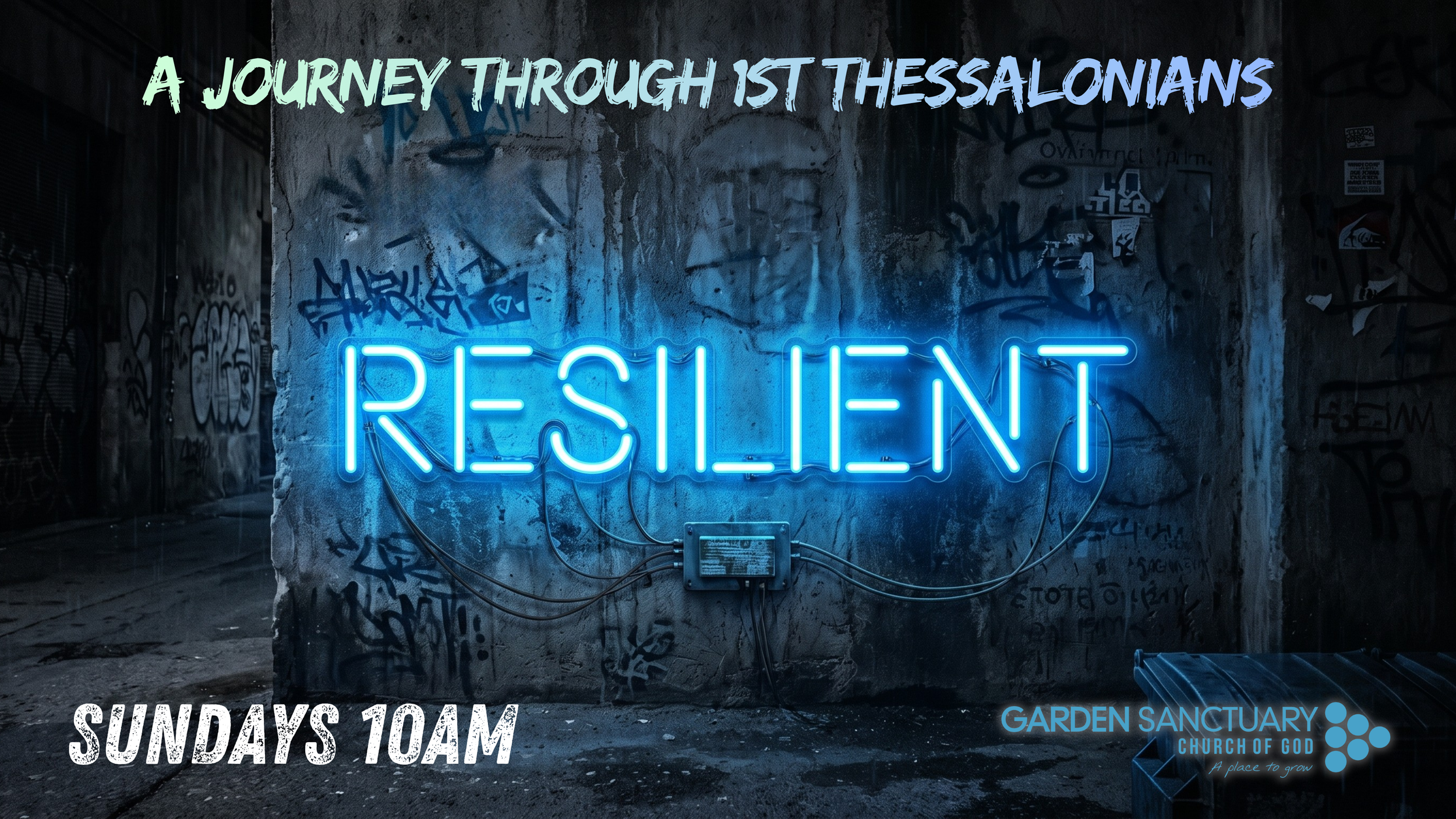 Resilient Series (3).png