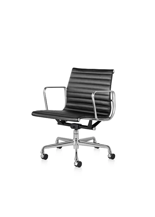 EAMES ALU2.jpg