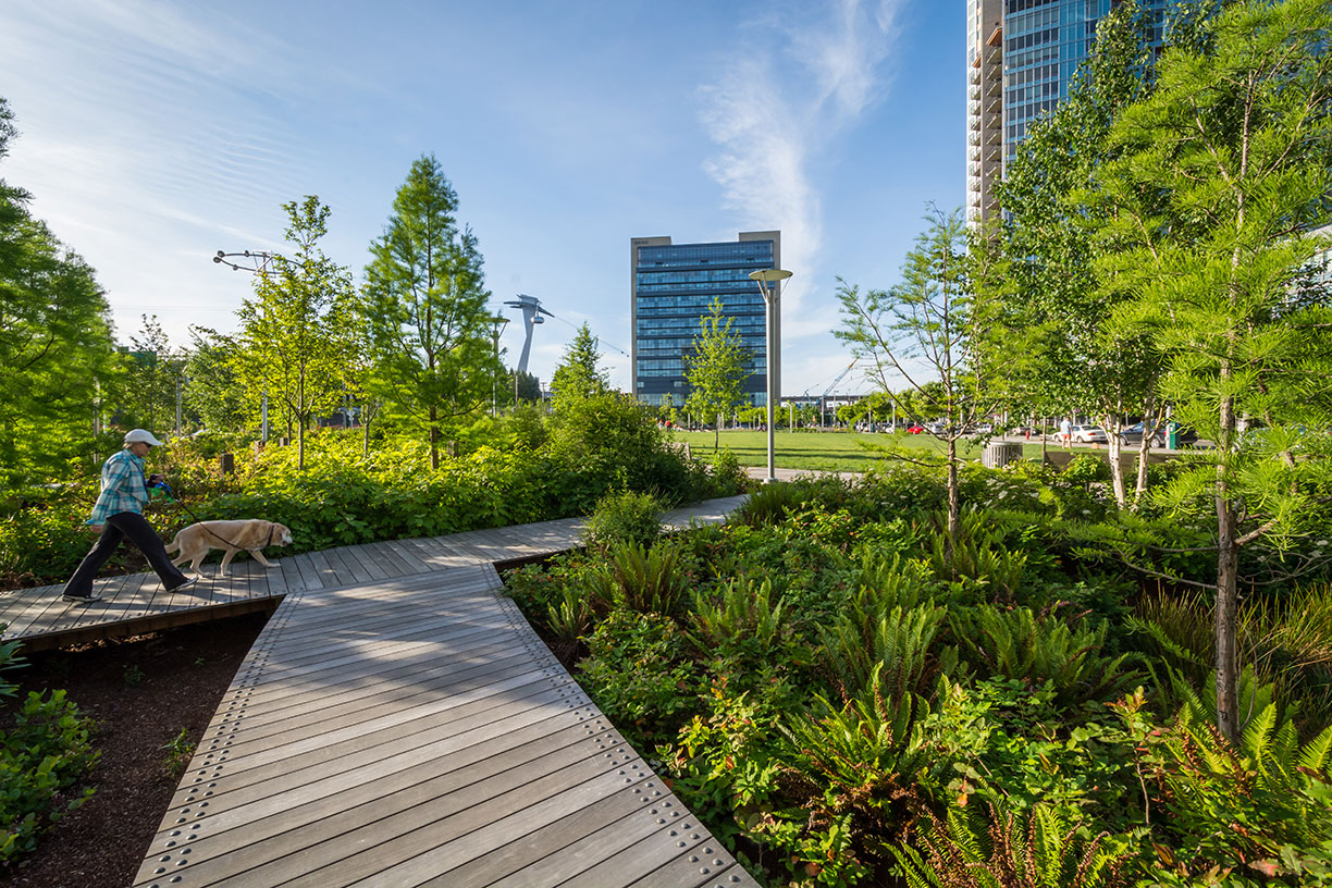 Naturalized Landscape